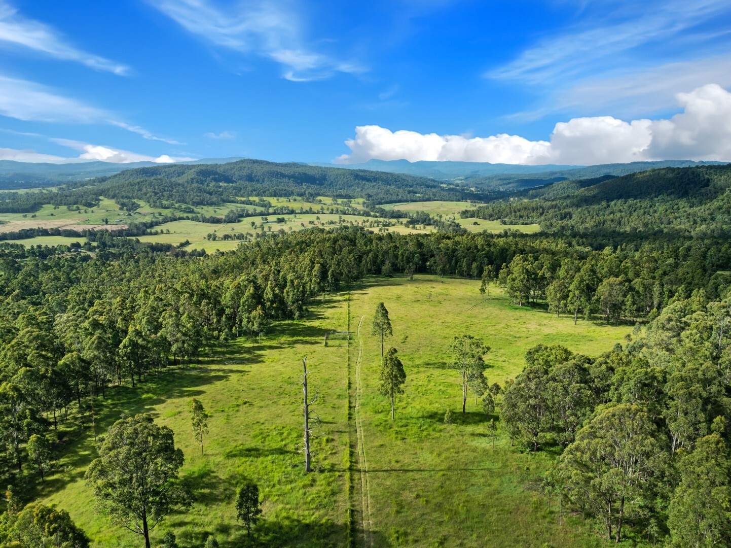 62-69 Duck Creek Road, Bonalbo For Sale by Farmbuy.com - image 14