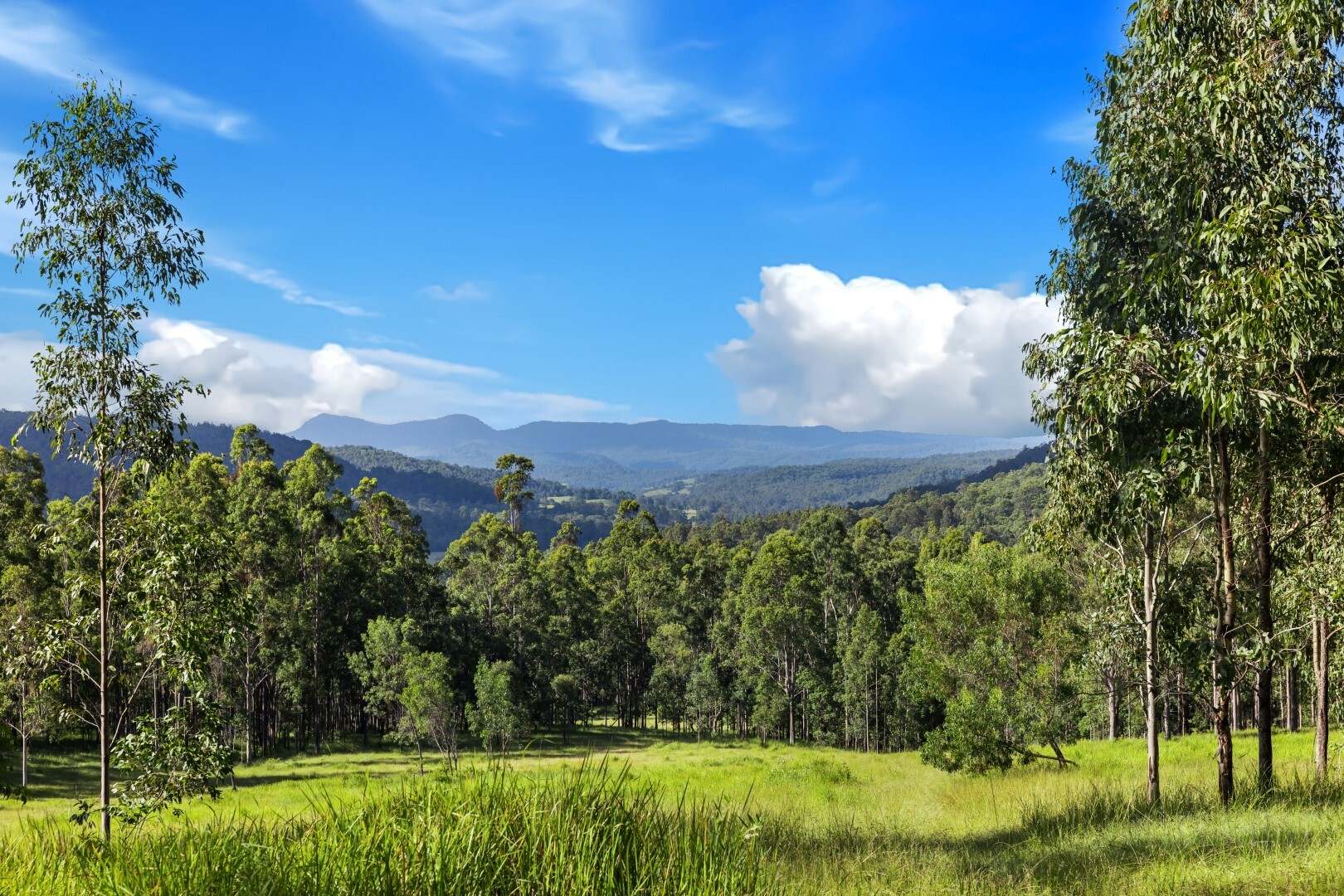 62-69 Duck Creek Road, Bonalbo For Sale by Farmbuy.com - image 7
