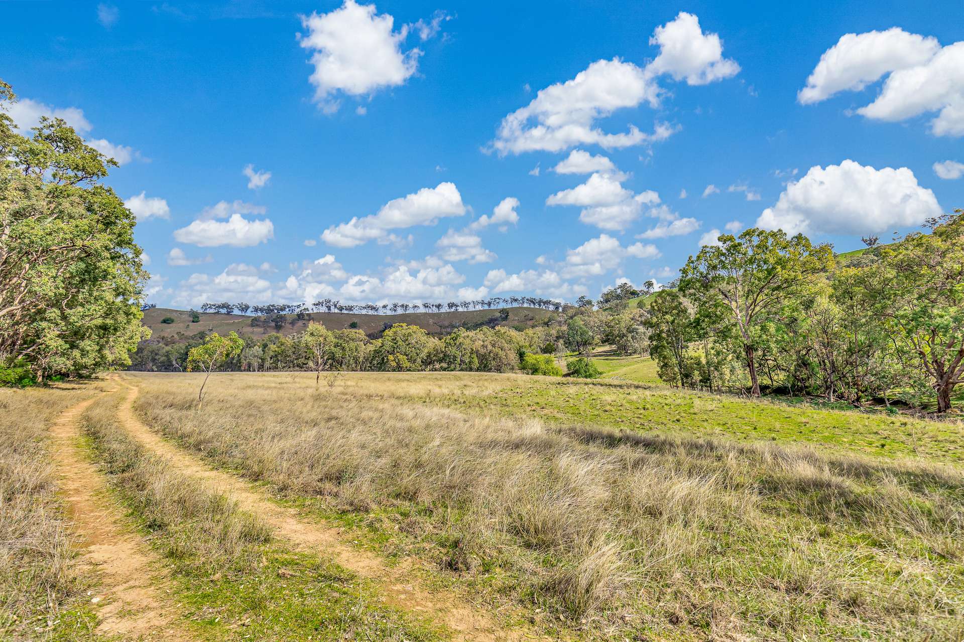 856 Spring Flat Road, Spring Flat For Sale by Farmbuy.com - image 7