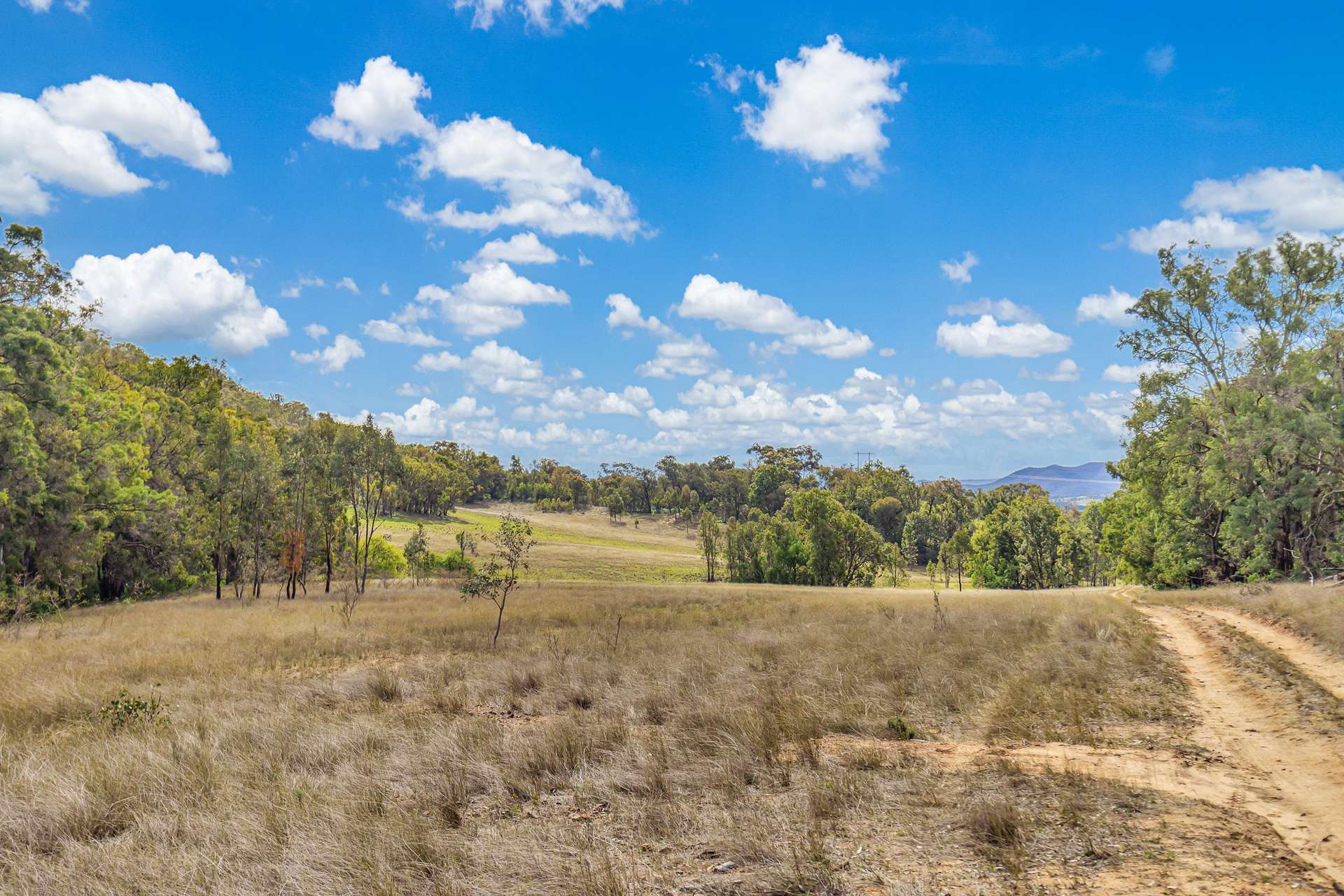 856 Spring Flat Road, Spring Flat For Sale by Farmbuy.com - image 3