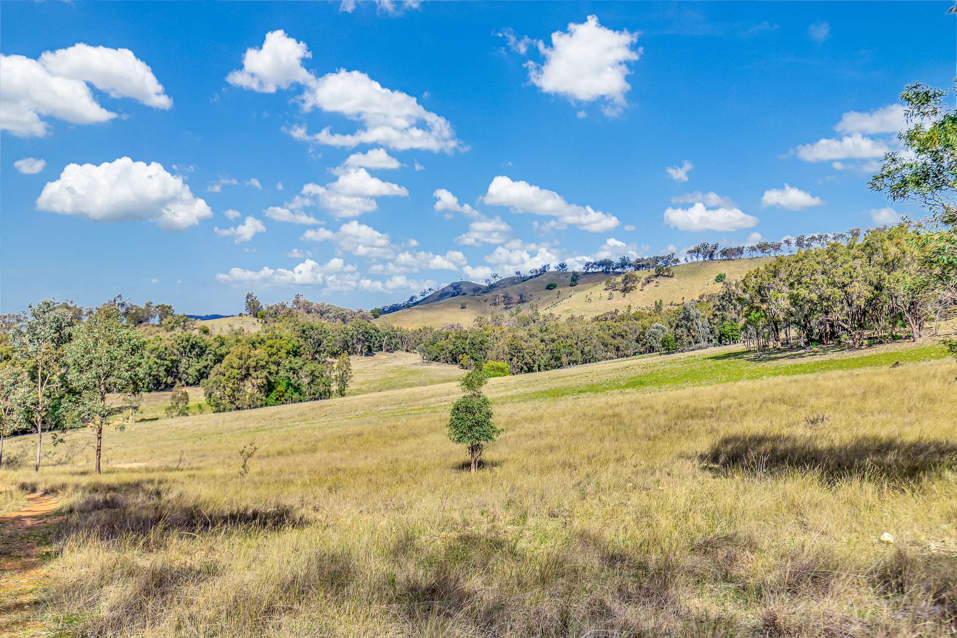 856 Spring Flat Road, Spring Flat For Sale by Farmbuy.com - image 12