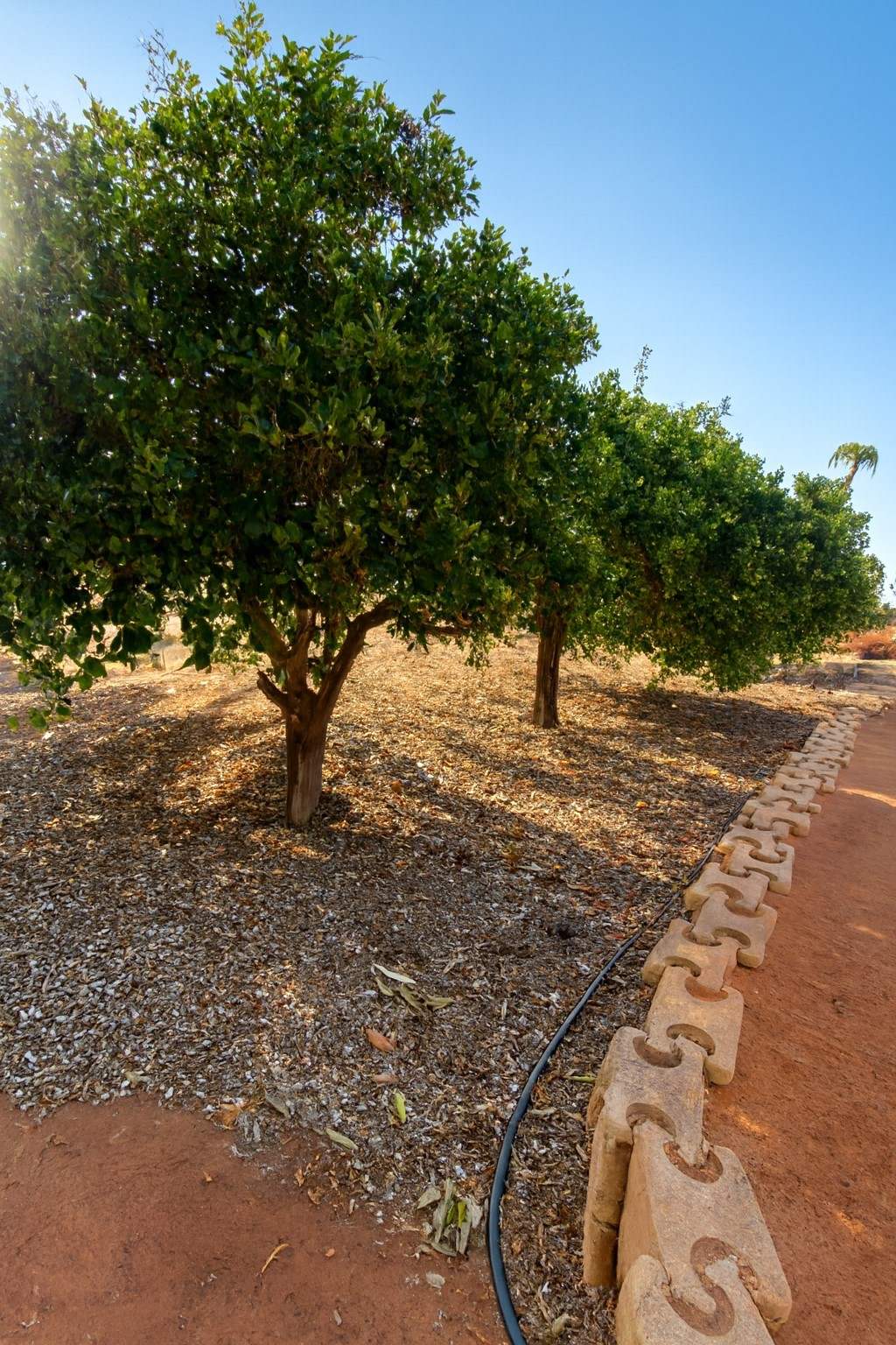 600 South River Road, South Plantations For Sale by Farmbuy.com - image 20