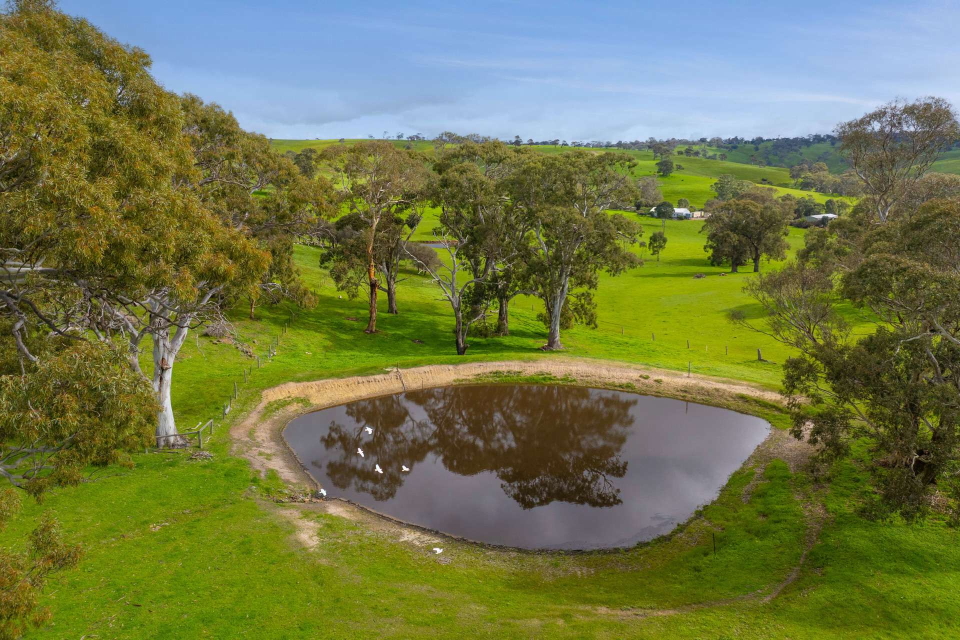 24 Castle Range Road, Currency Creek For Sale by Farmbuy.com - image 27