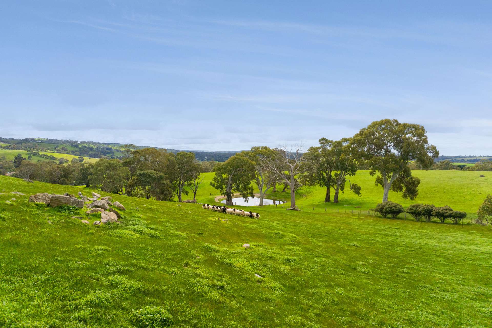 24 Castle Range Road, Currency Creek For Sale by Farmbuy.com - image 31