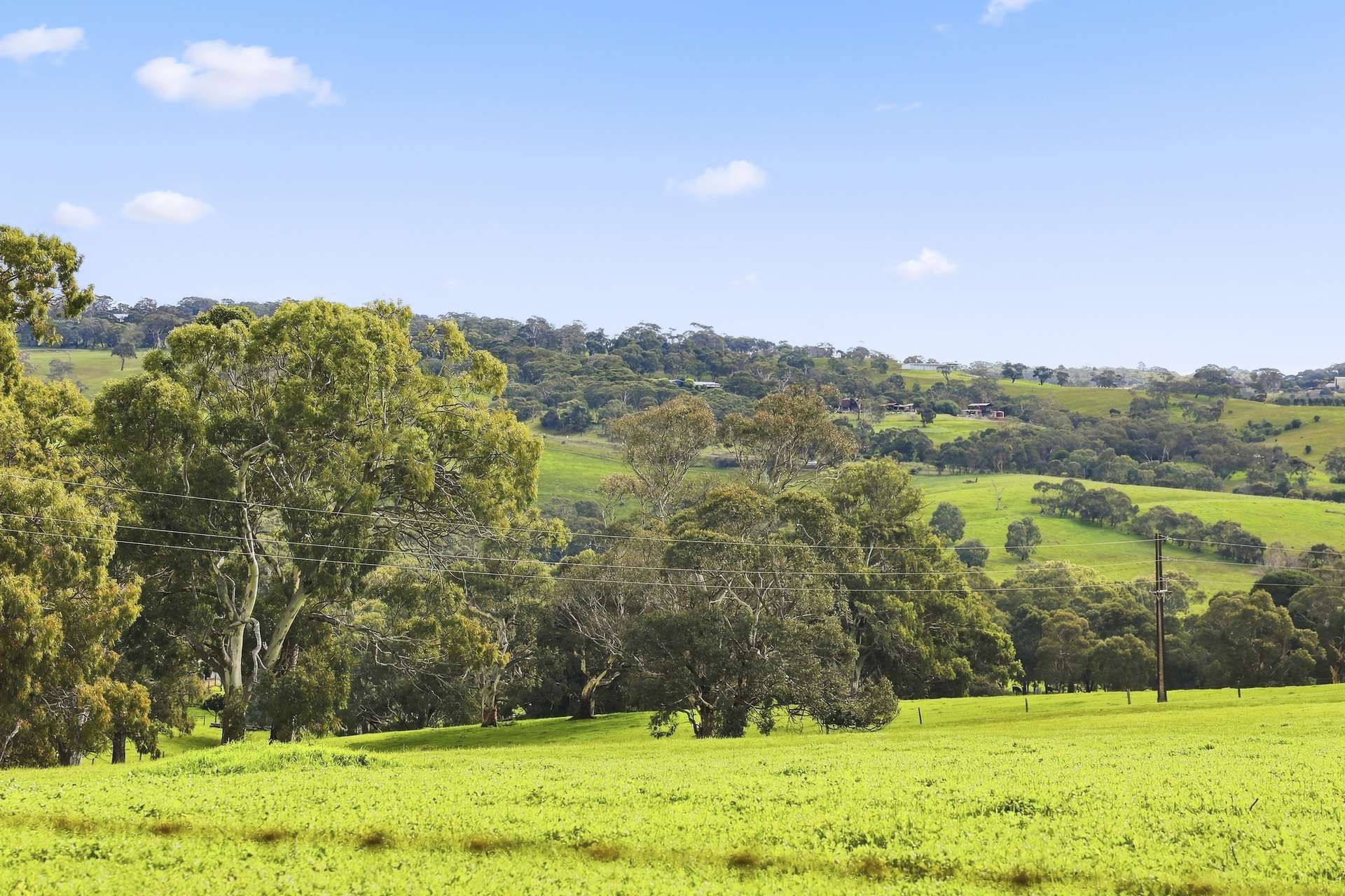 24 Castle Range Road, Currency Creek For Sale by Farmbuy.com - image 21