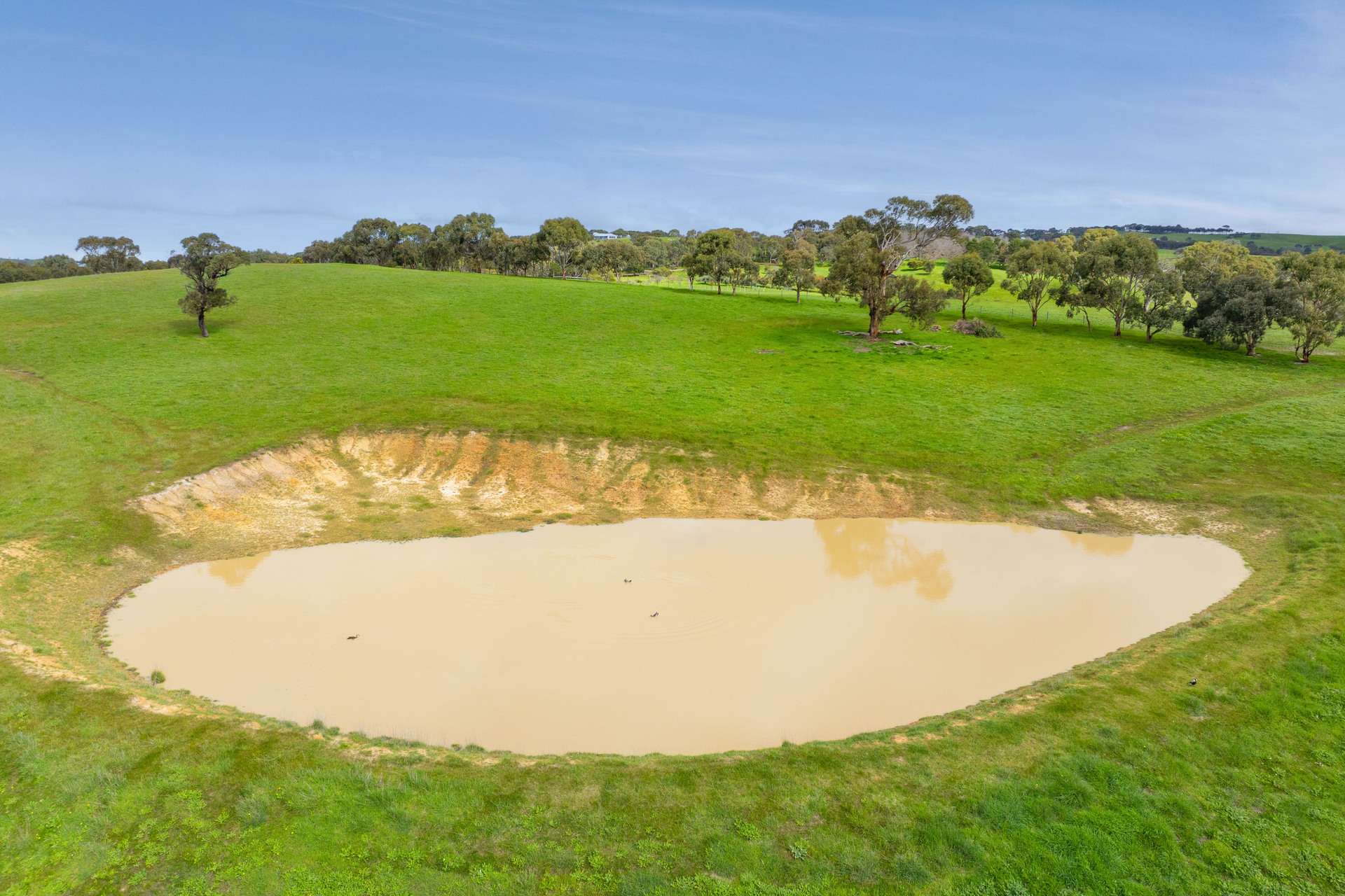 24 Castle Range Road, Currency Creek For Sale by Farmbuy.com - image 30