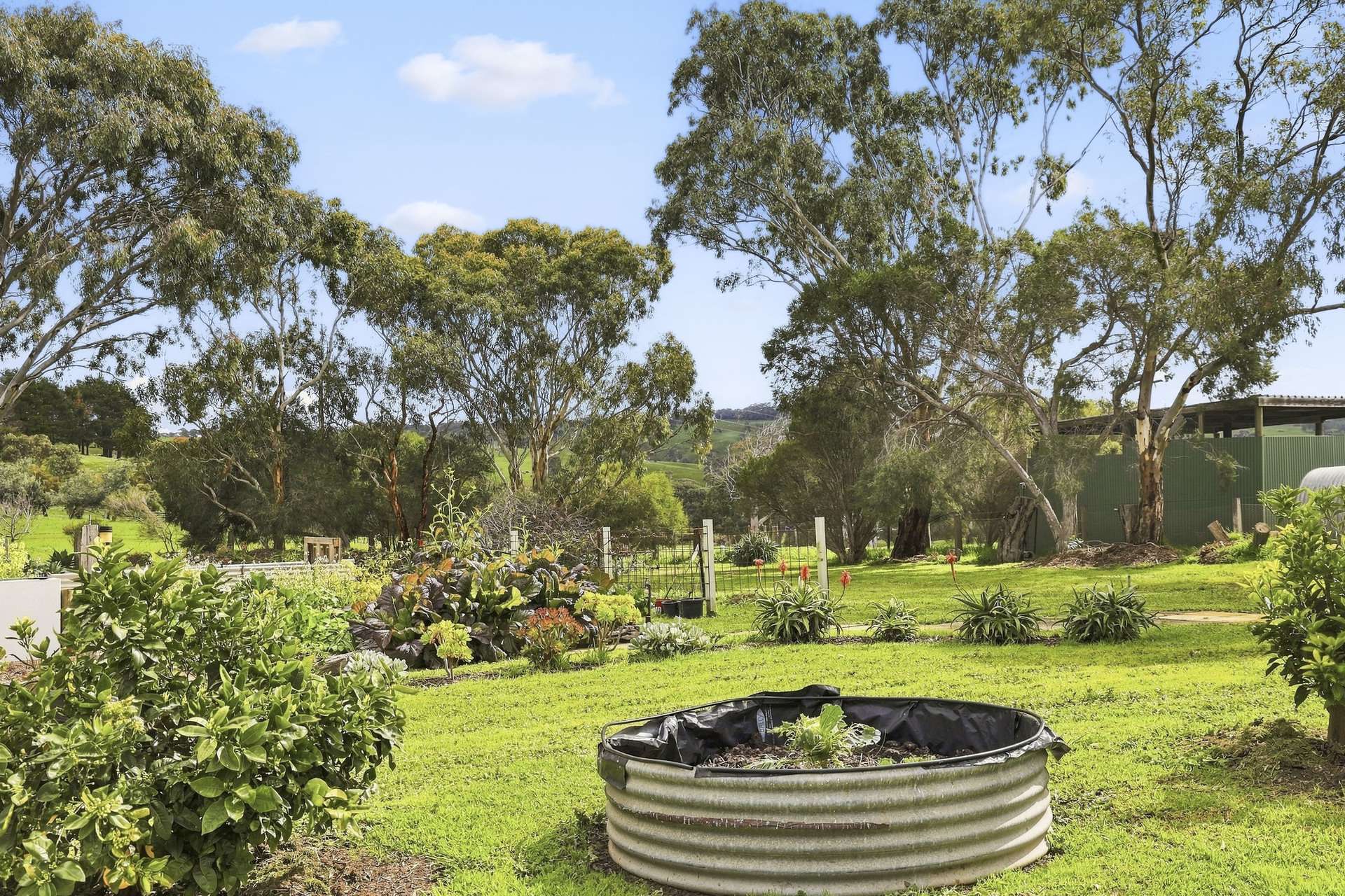 24 Castle Range Road, Currency Creek For Sale by Farmbuy.com - image 19