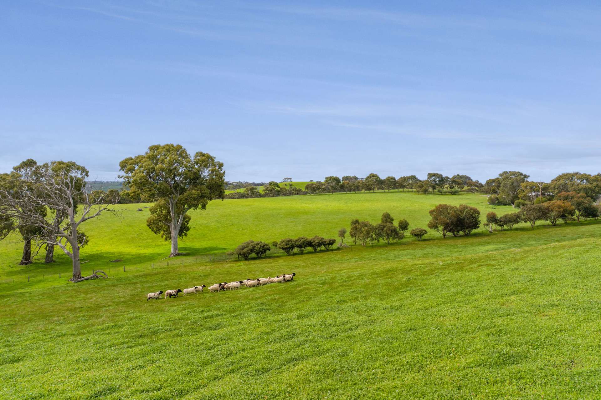 24 Castle Range Road, Currency Creek For Sale by Farmbuy.com - image 32