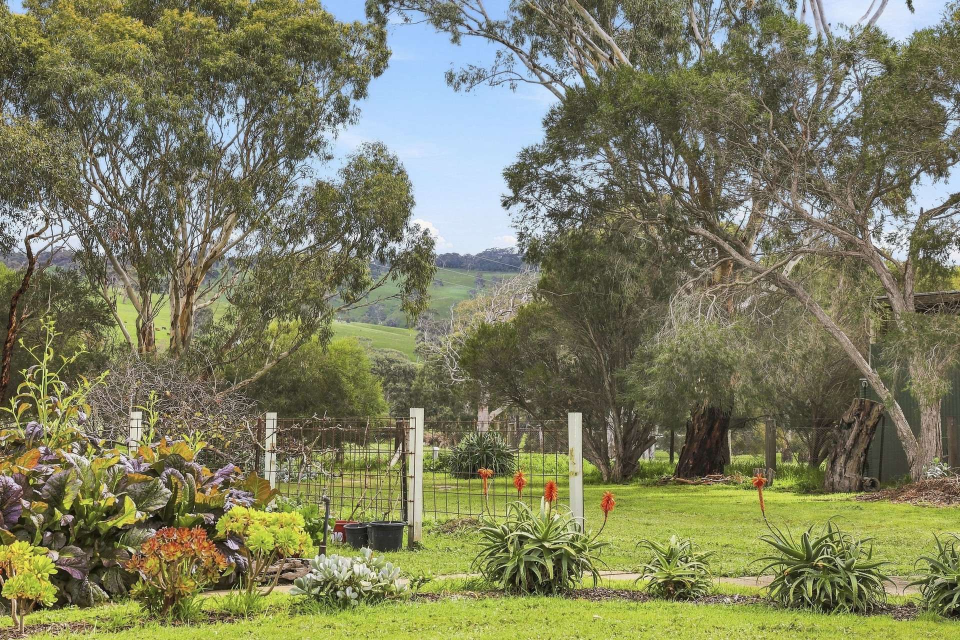 24 Castle Range Road, Currency Creek For Sale by Farmbuy.com - image 22