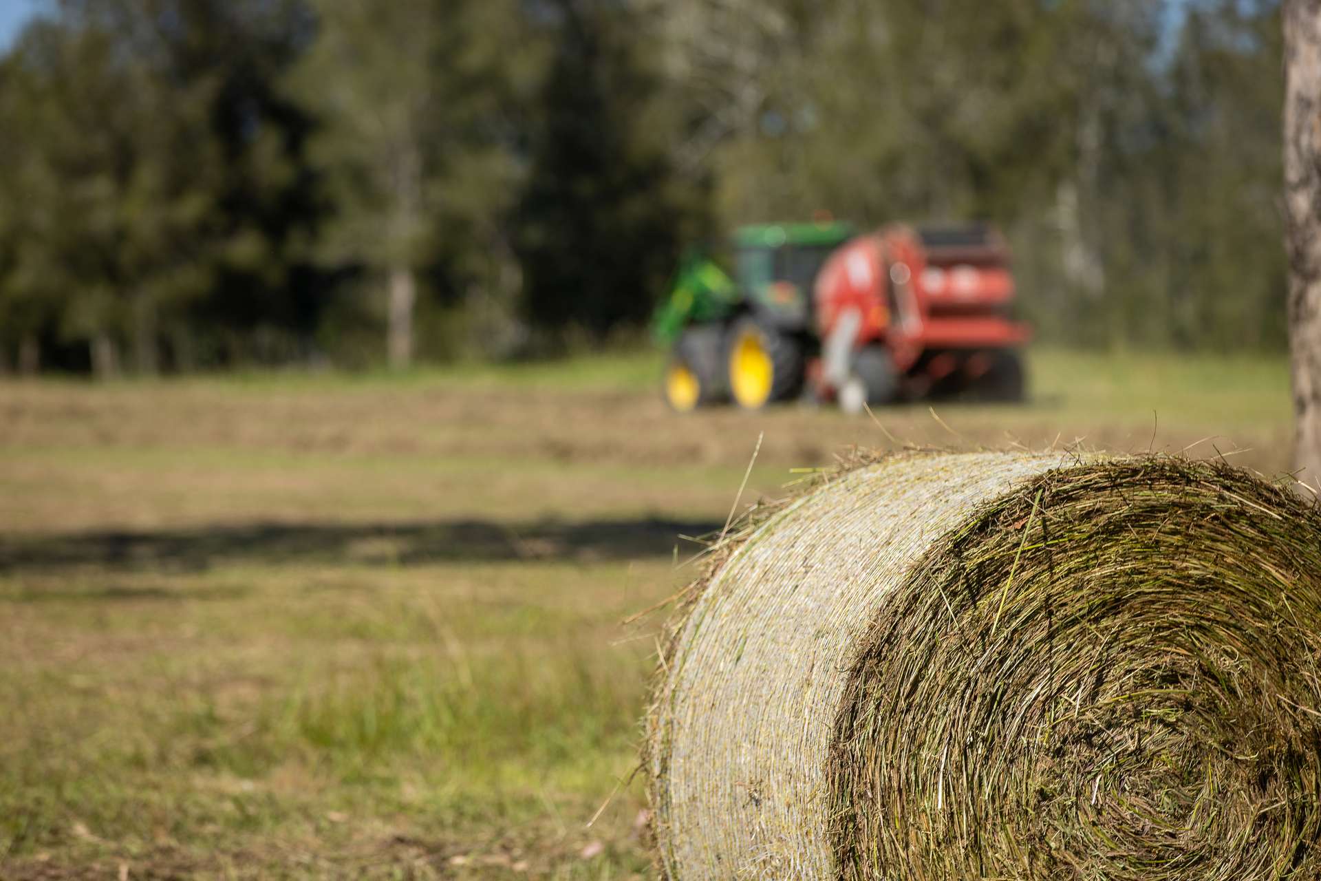 79, 81 & 249 Elliots Road, Nabiac For Sale by Farmbuy.com - image 6