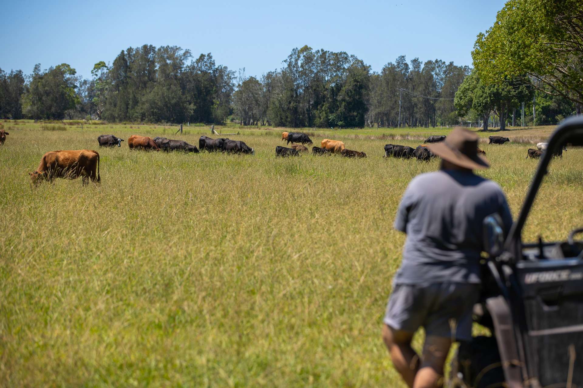 79, 81 & 249 Elliots Road, Nabiac For Sale by Farmbuy.com - image 24