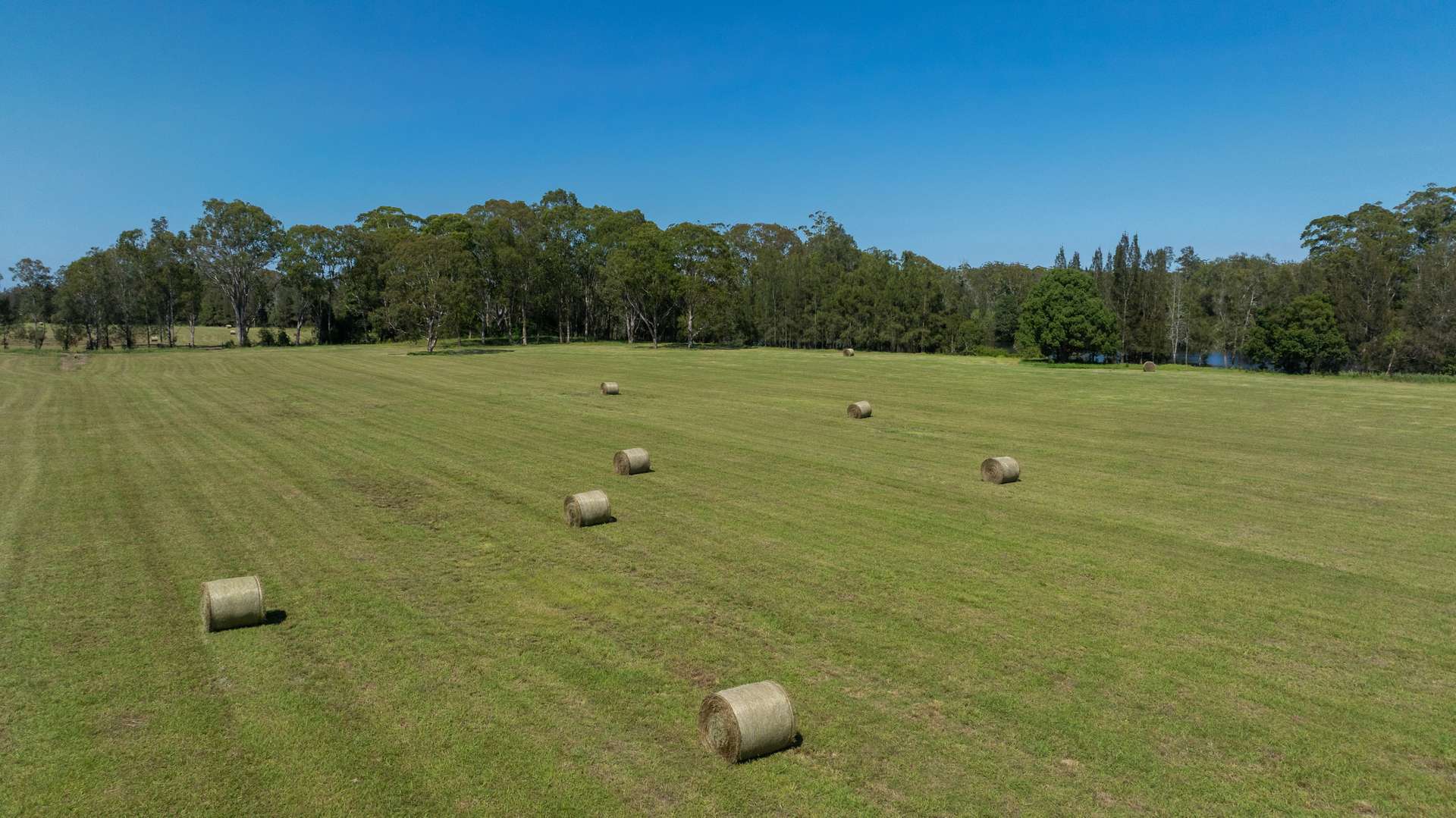 79, 81 & 249 Elliots Road, Nabiac For Sale by Farmbuy.com - image 20
