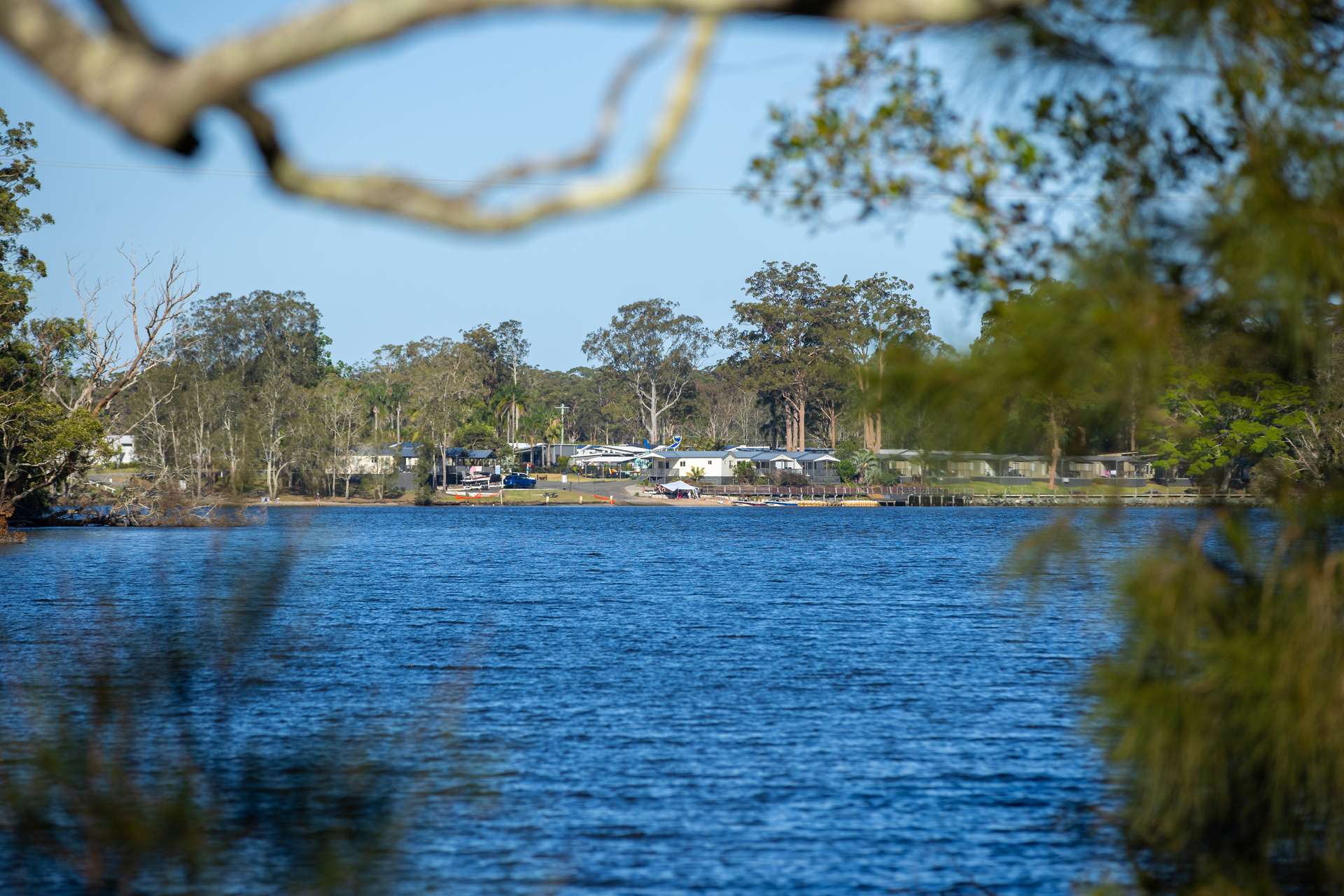 79, 81 & 249 Elliots Road, Nabiac For Sale by Farmbuy.com - image 7