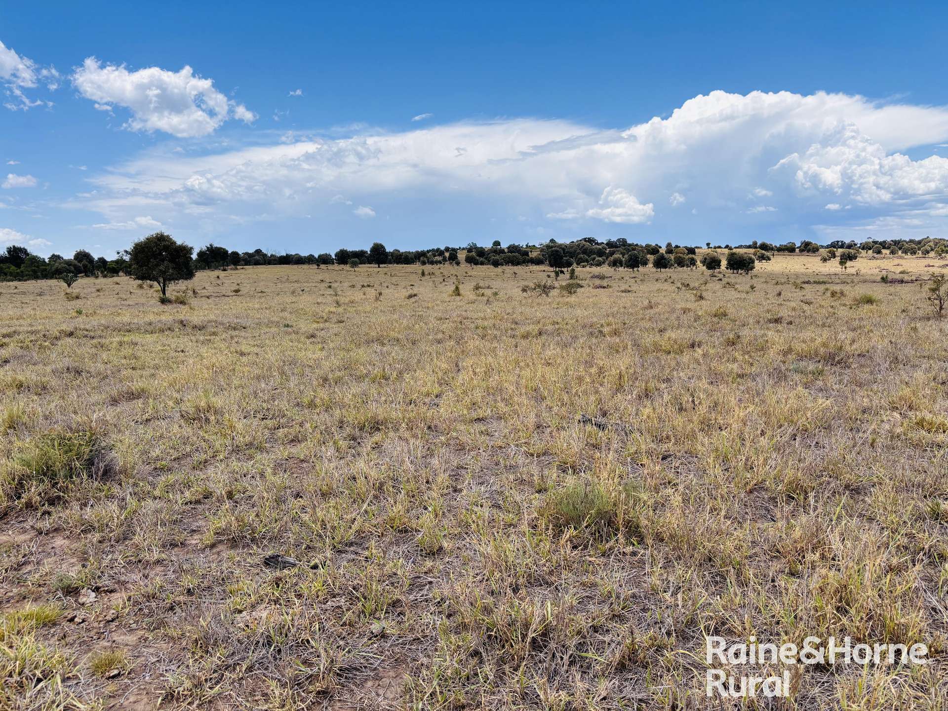 330 Burrow Downs Road, Injune Sold by Farmbuy.com - image 20