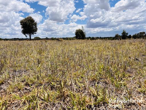 Farm Sold - QLD - Injune - 4454 - Rare Brigalow-Belah Grazing country opportunity - in tightly held district 