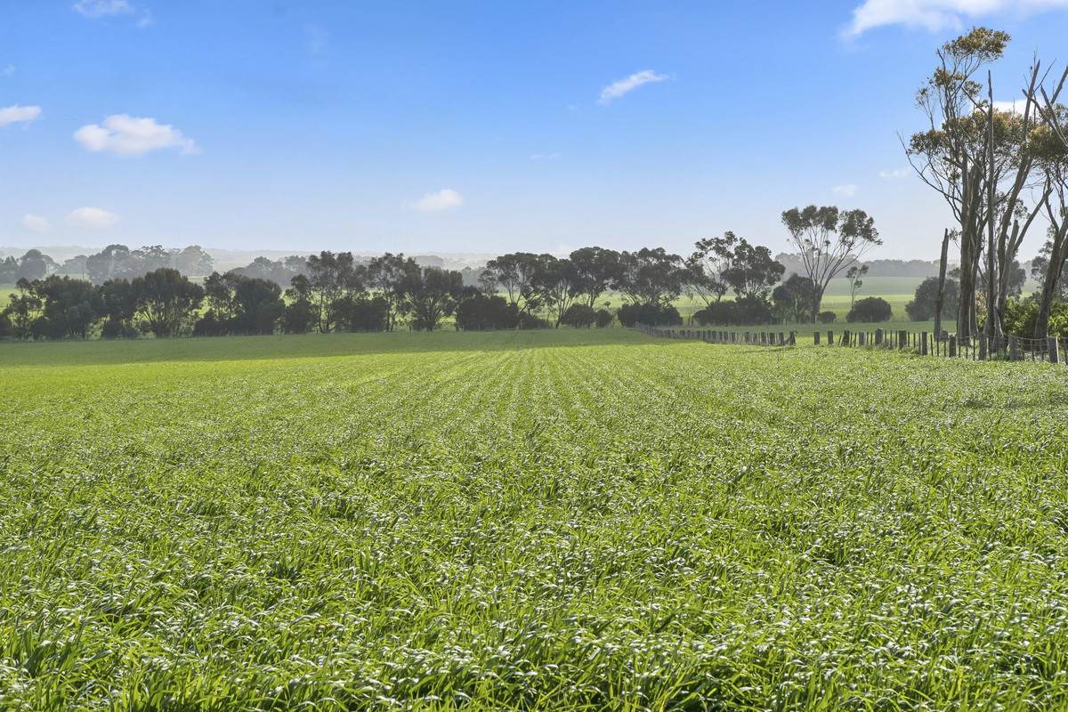 2310 Colac-Ballarat Road, Weering For Sale by Farmbuy.com - image 3