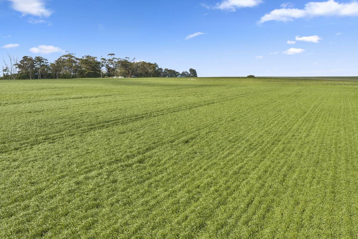 2310 Colac-Ballarat Road, Weering For Sale by Farmbuy.com - image 21