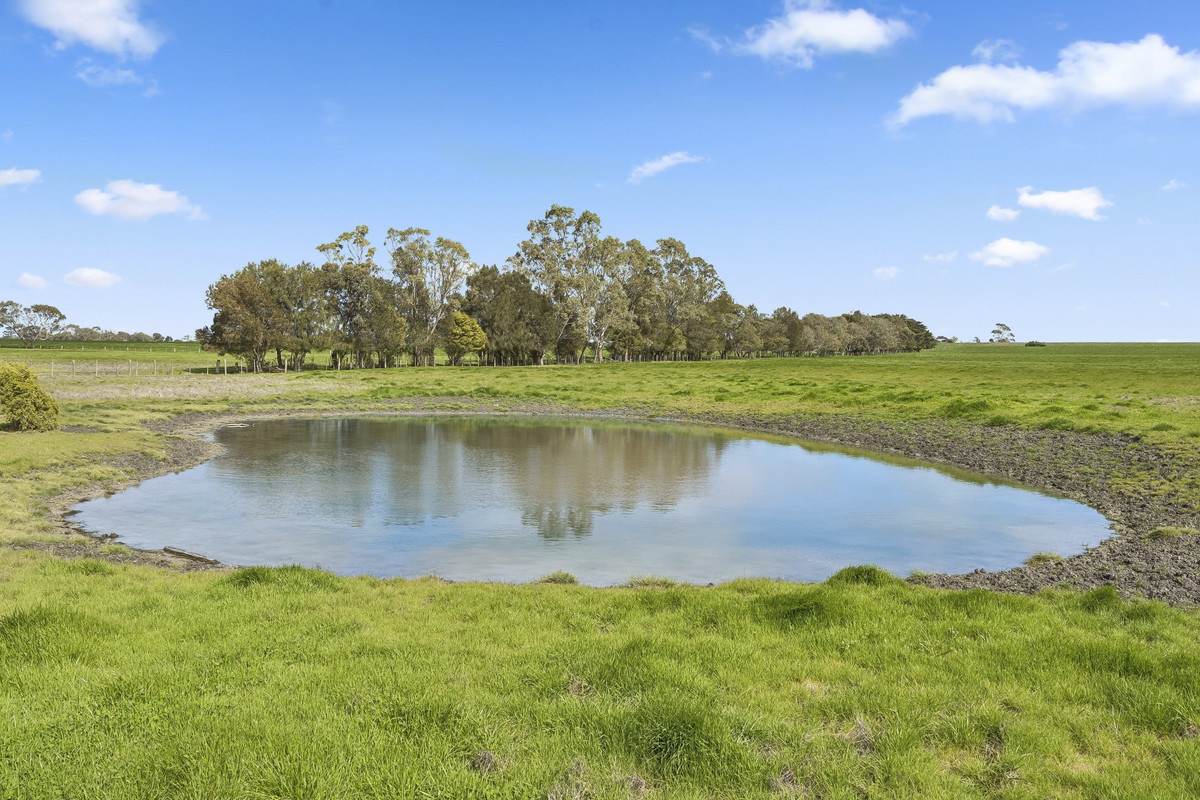 2310 Colac-Ballarat Road, Weering For Sale by Farmbuy.com - image 4