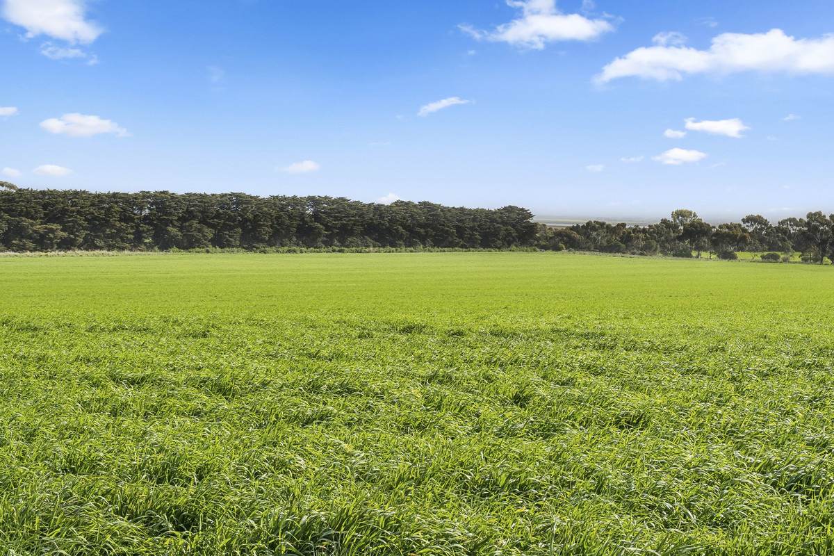 2310 Colac-Ballarat Road, Weering For Sale by Farmbuy.com - image 20