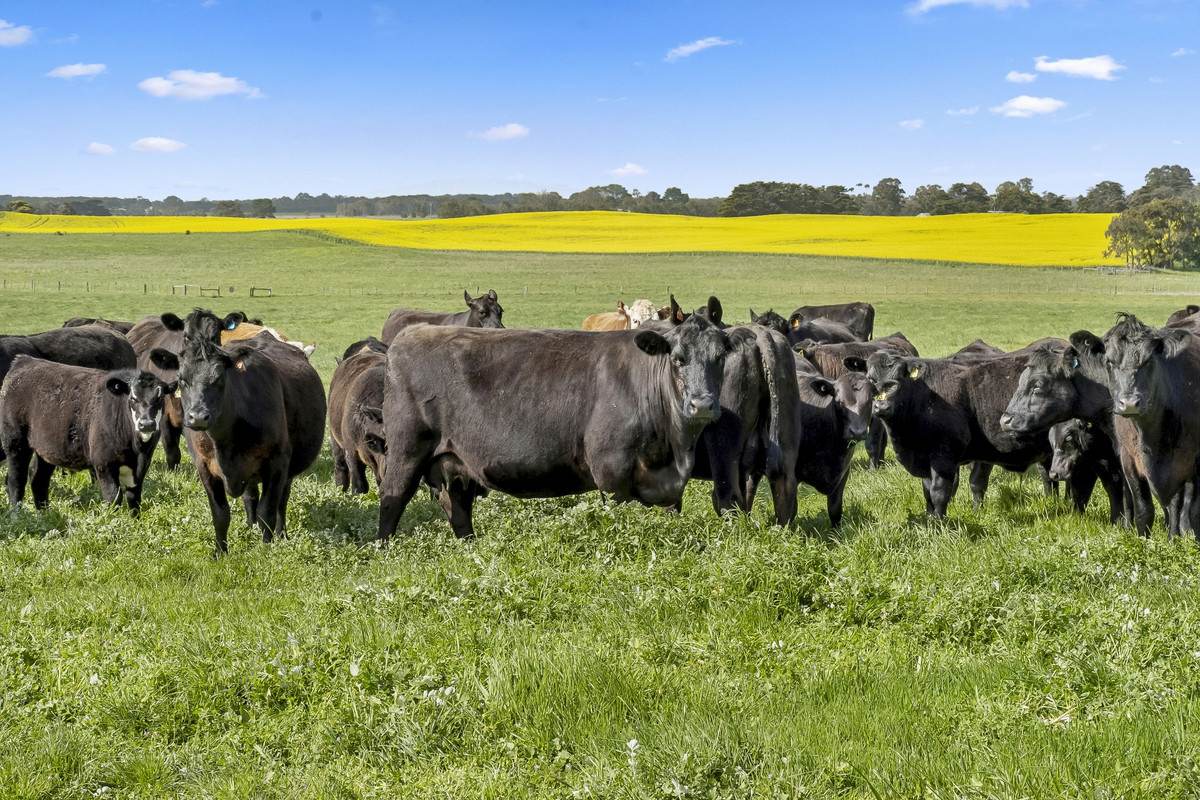 2310 Colac-Ballarat Road, Weering For Sale by Farmbuy.com - image 22