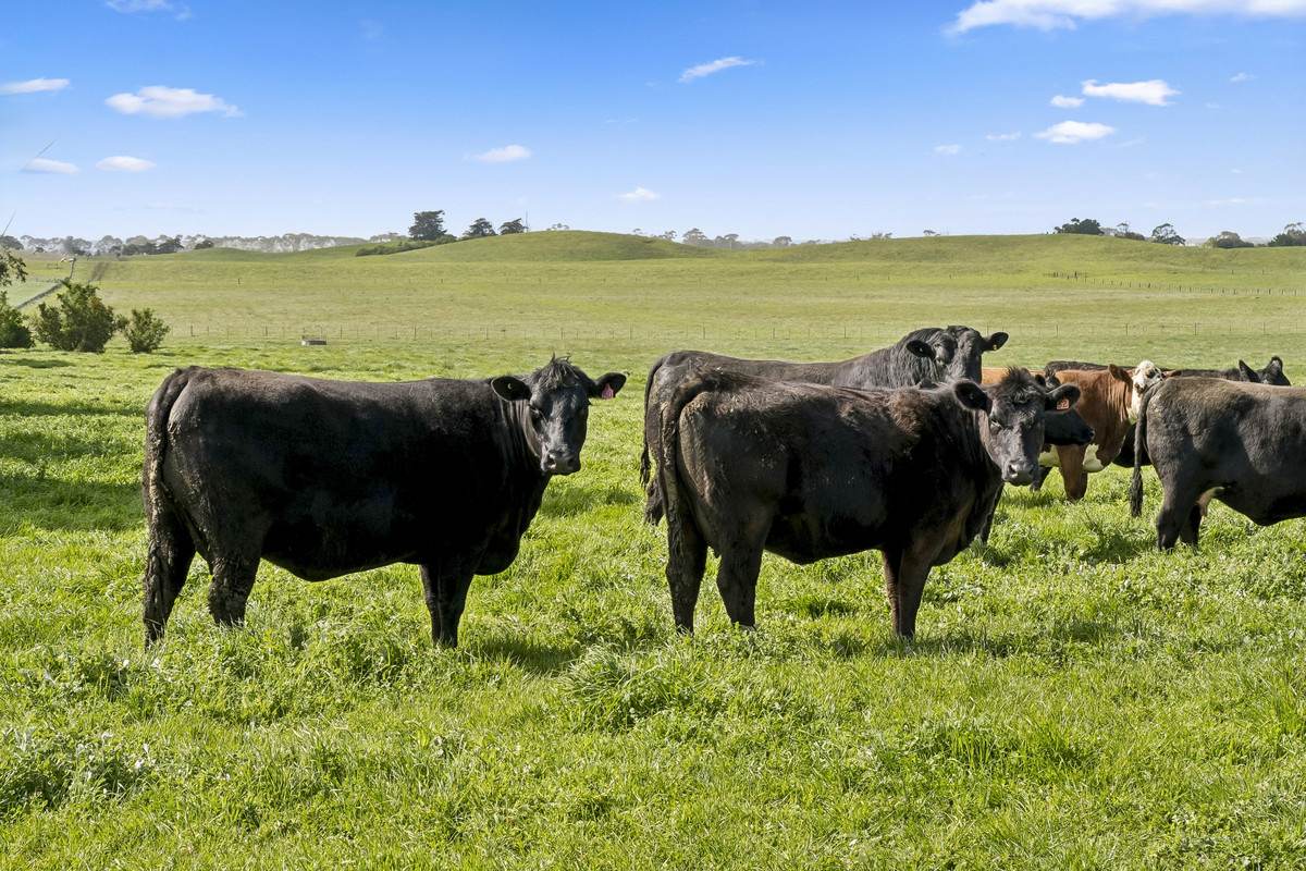 2310 Colac-Ballarat Road, Weering For Sale by Farmbuy.com - image 23