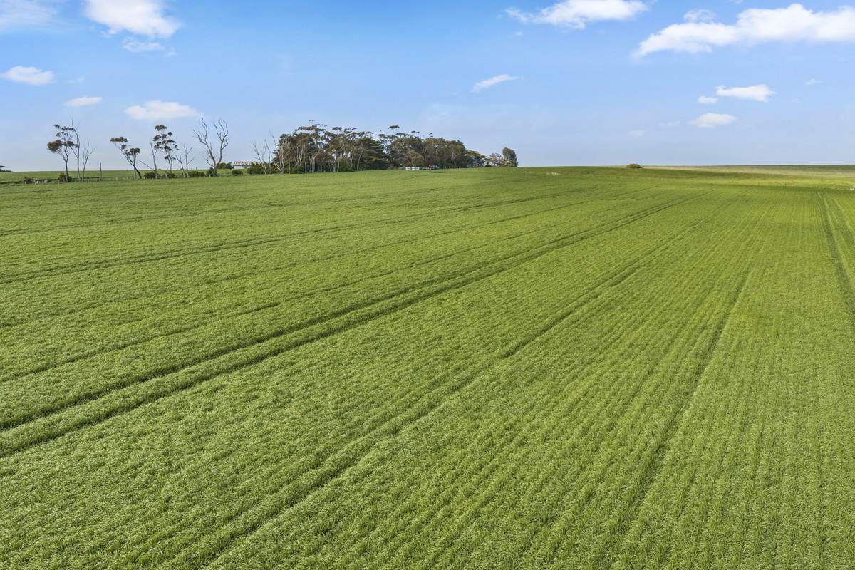 2310 Colac-Ballarat Road, Weering For Sale by Farmbuy.com - image 2