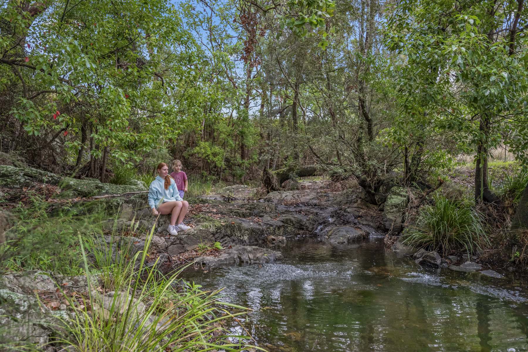 1758 The Bucketts Way, Bakers Creek Via, Gloucester For Sale by Farmbuy.com - image 2