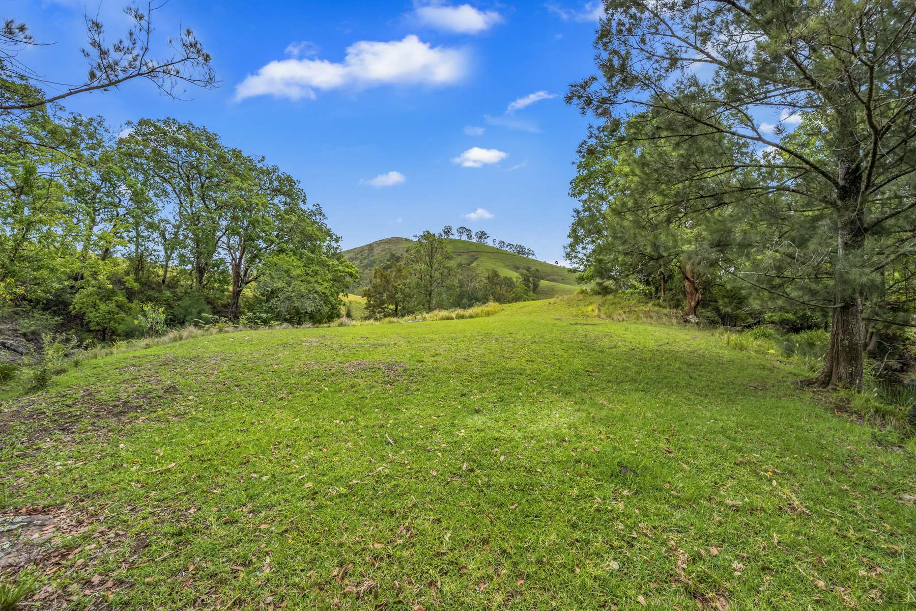 1758 The Bucketts Way, Bakers Creek Via, Gloucester For Sale by Farmbuy.com - image 25
