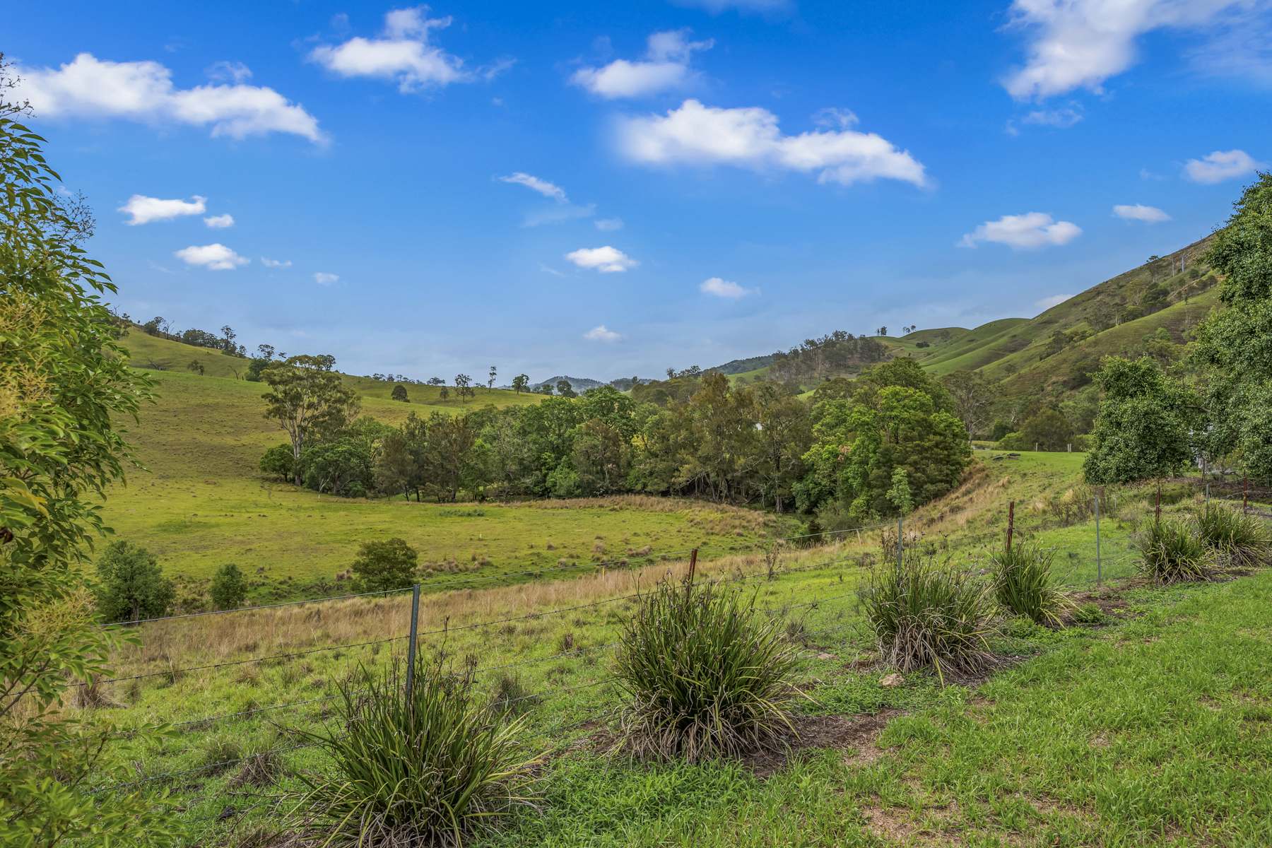 1758 The Bucketts Way, Bakers Creek Via, Gloucester For Sale by Farmbuy.com - image 30