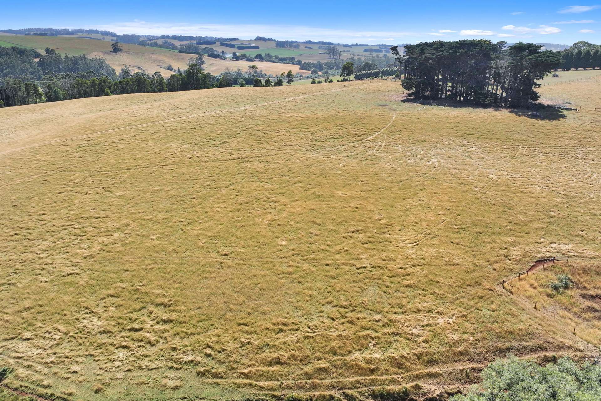 Lot 2/107 Cooks Road, Thorpdale For Sale by Farmbuy.com - image 6
