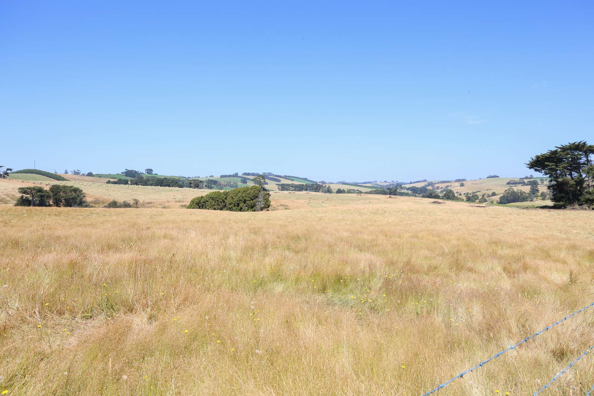 Lot 2/107 Cooks Road, Thorpdale For Sale by Farmbuy.com - image 22