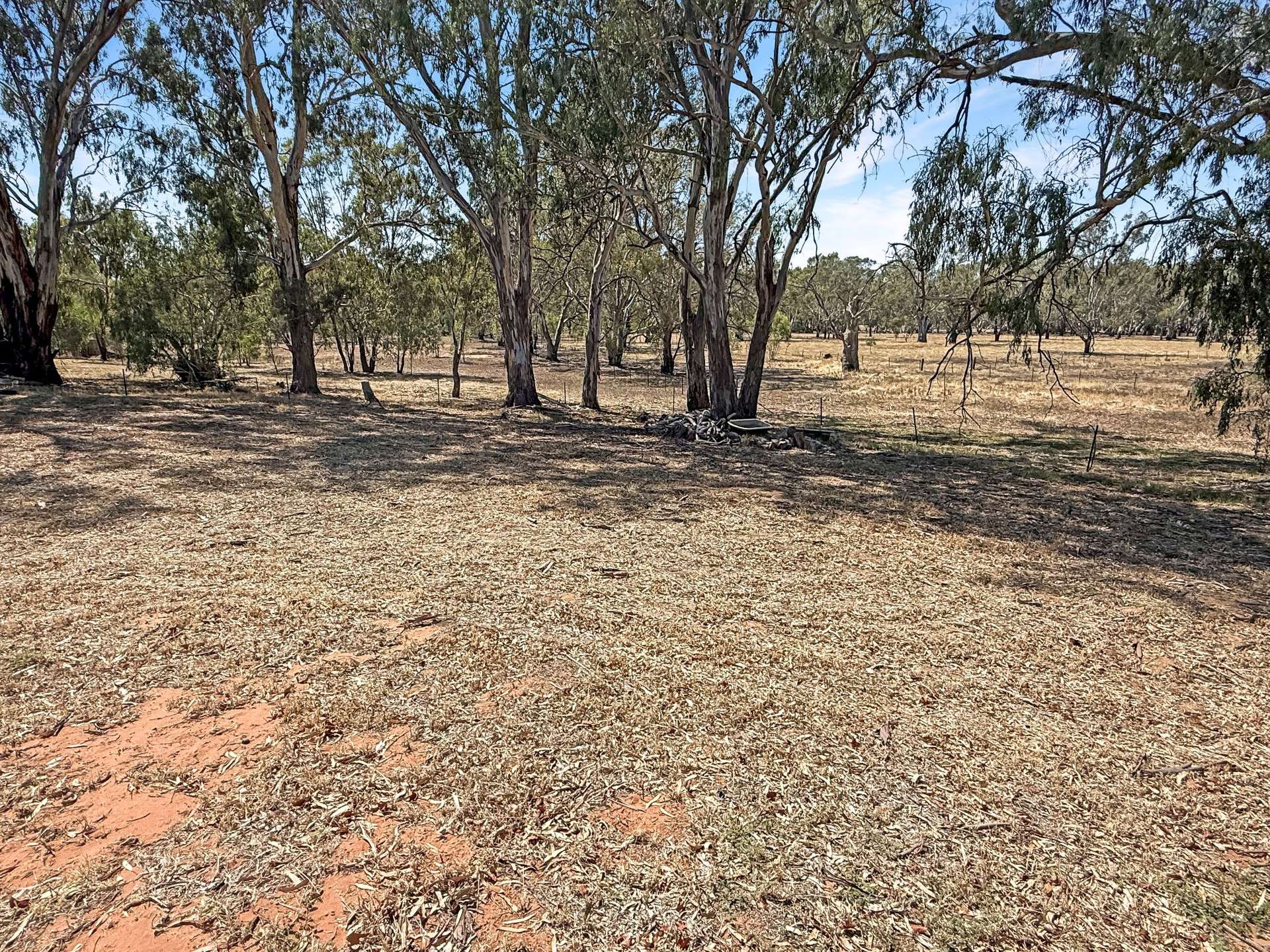 21 Townsend Street, Narrandera For Sale by Farmbuy.com - image 16