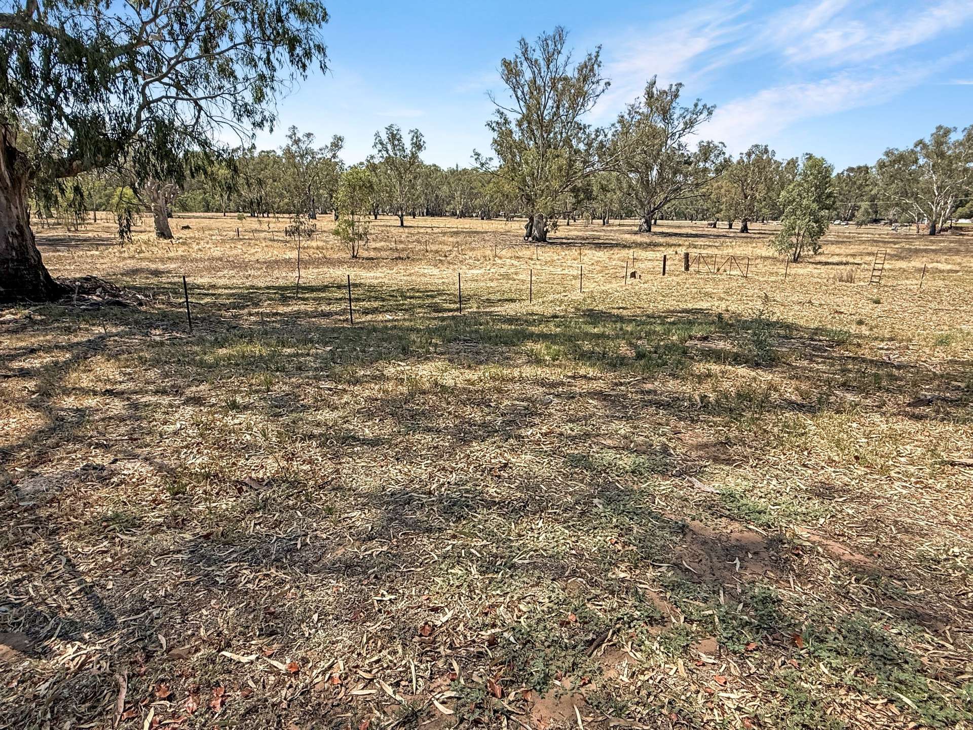 21 Townsend Street, Narrandera For Sale by Farmbuy.com - image 15