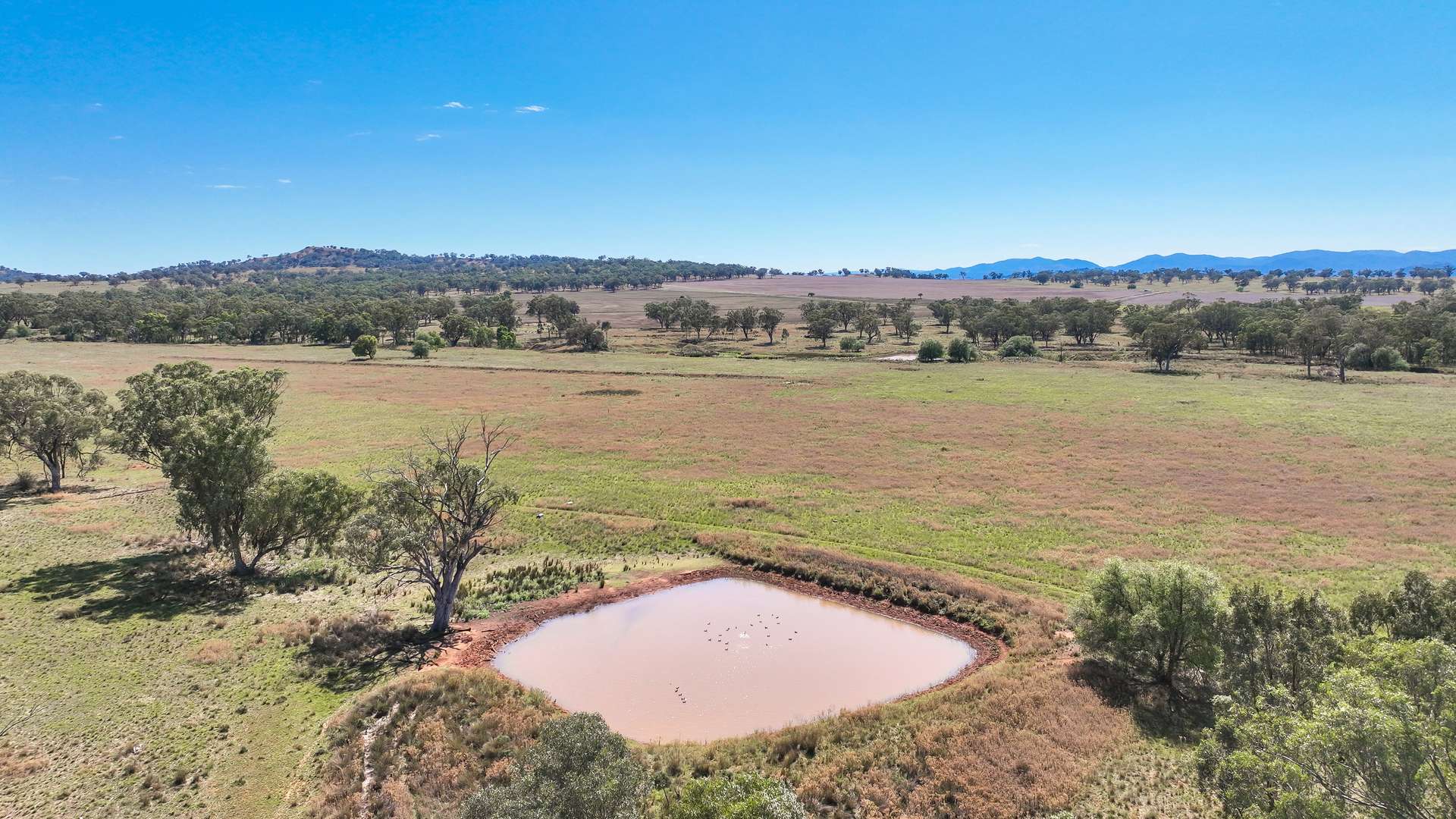1070 Top Somerton Road, Attunga Sold by Farmbuy.com - image 22