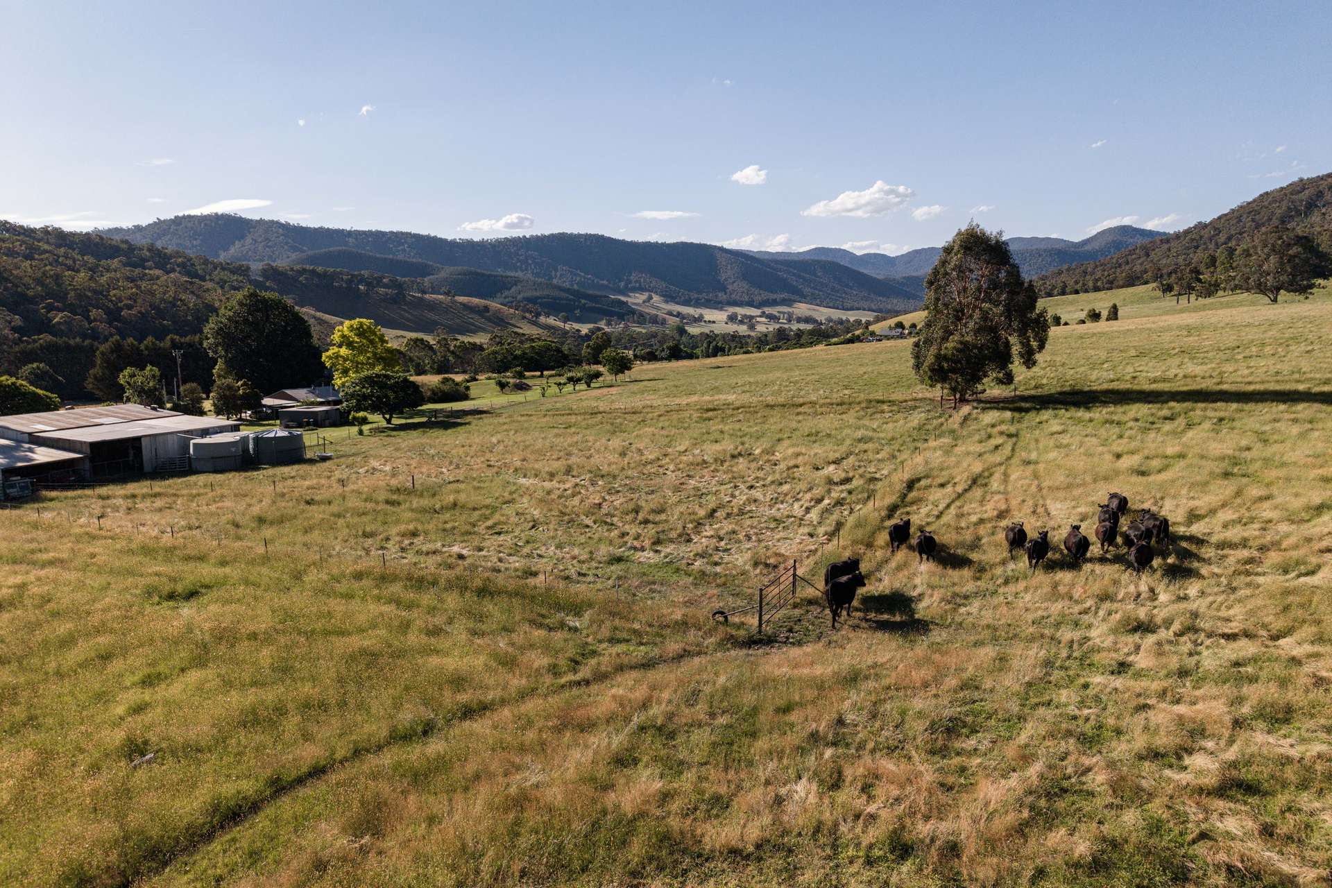 495 Kancoona South Road, Kancoona For Sale by Farmbuy.com - image 22