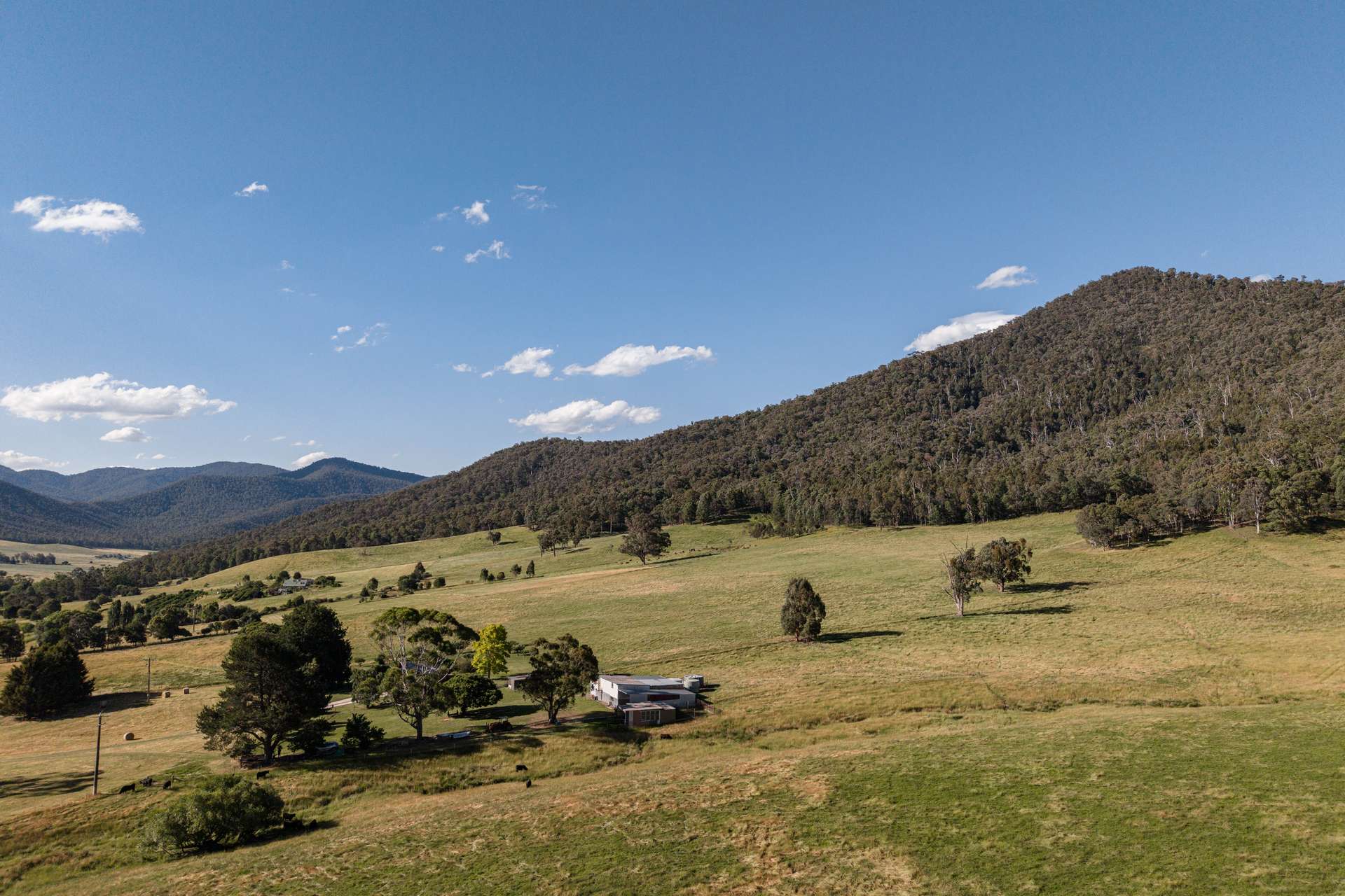 495 Kancoona South Road, Kancoona For Sale by Farmbuy.com - image 15