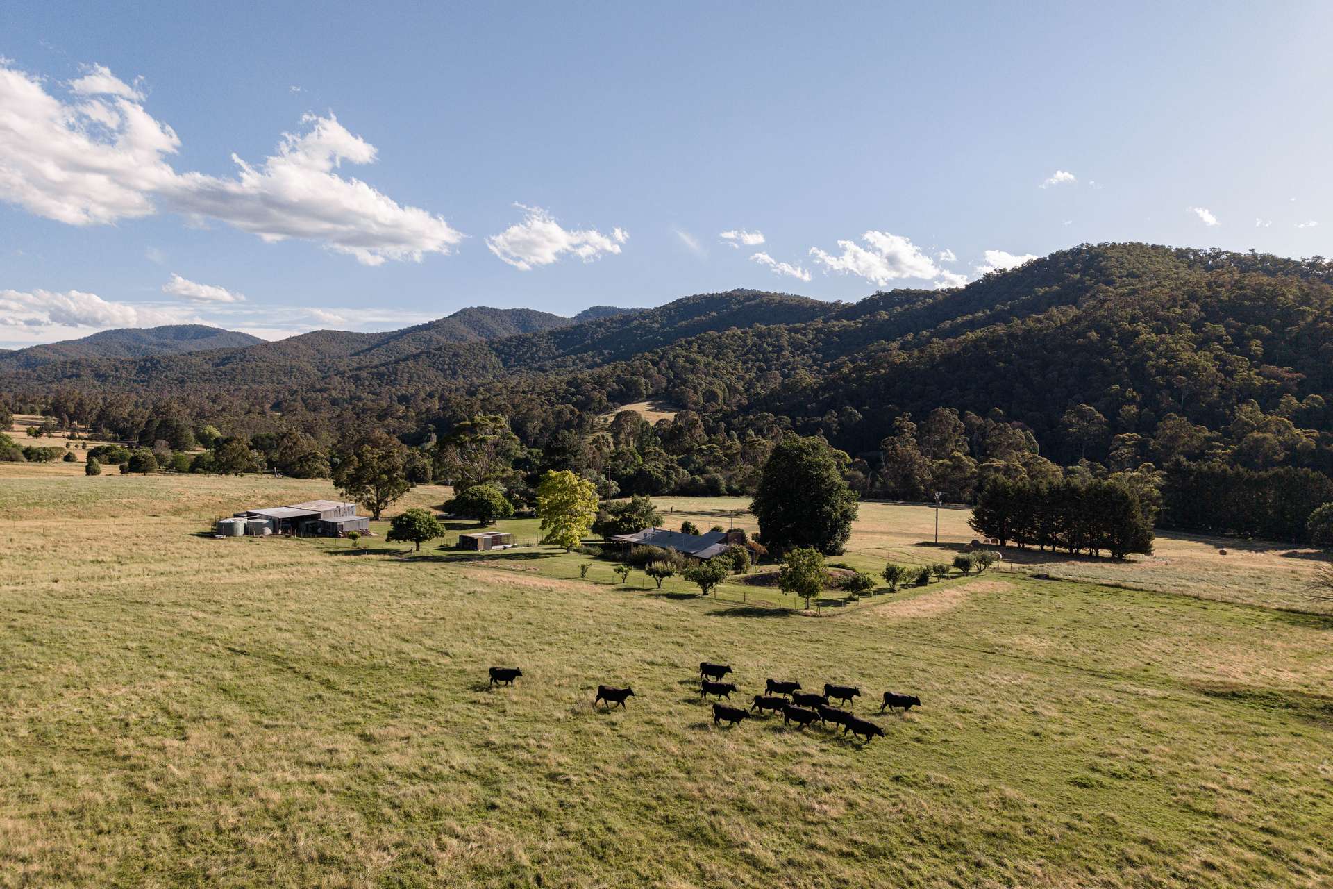 495 Kancoona South Road, Kancoona For Sale by Farmbuy.com - image 6