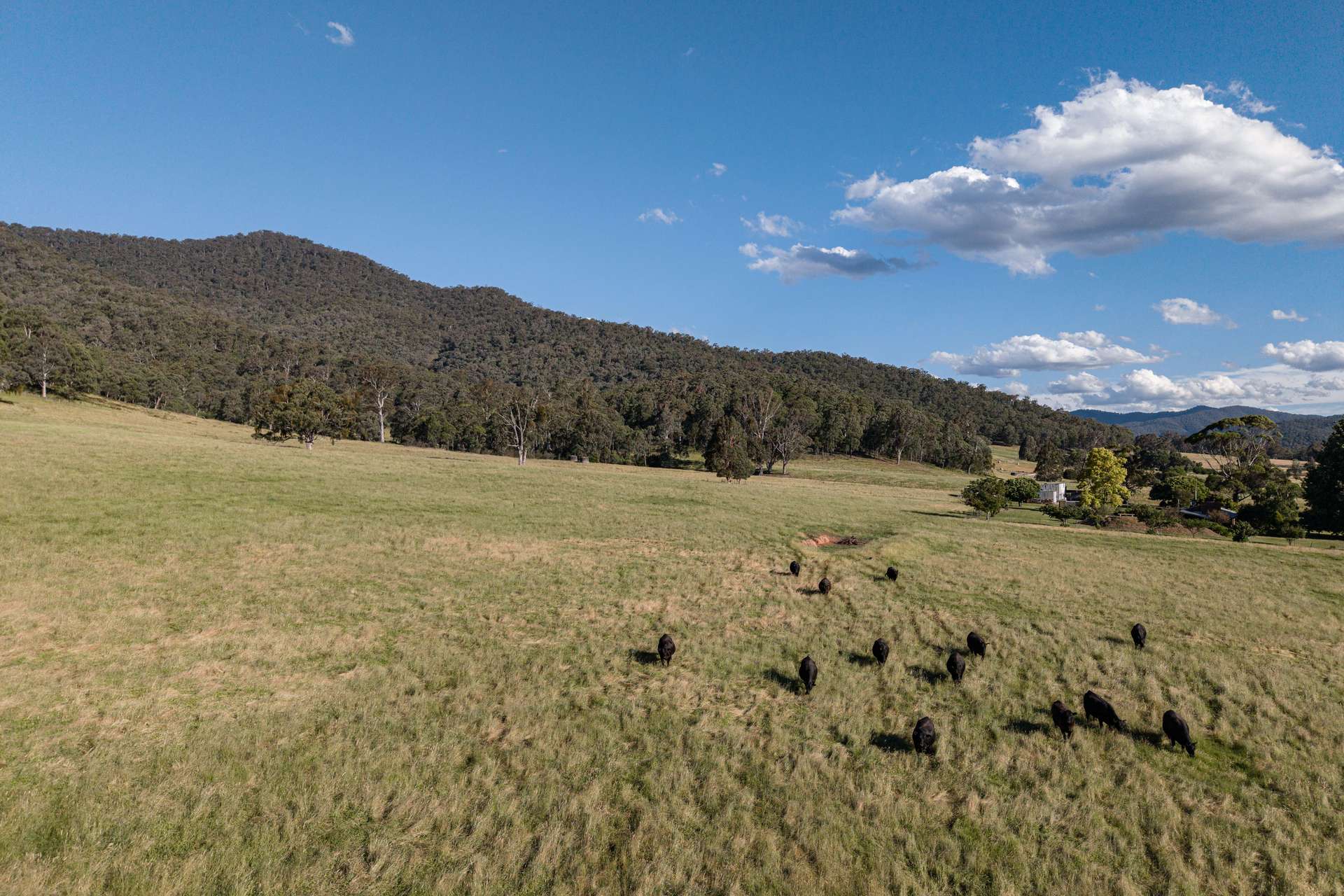 495 Kancoona South Road, Kancoona For Sale by Farmbuy.com - image 7