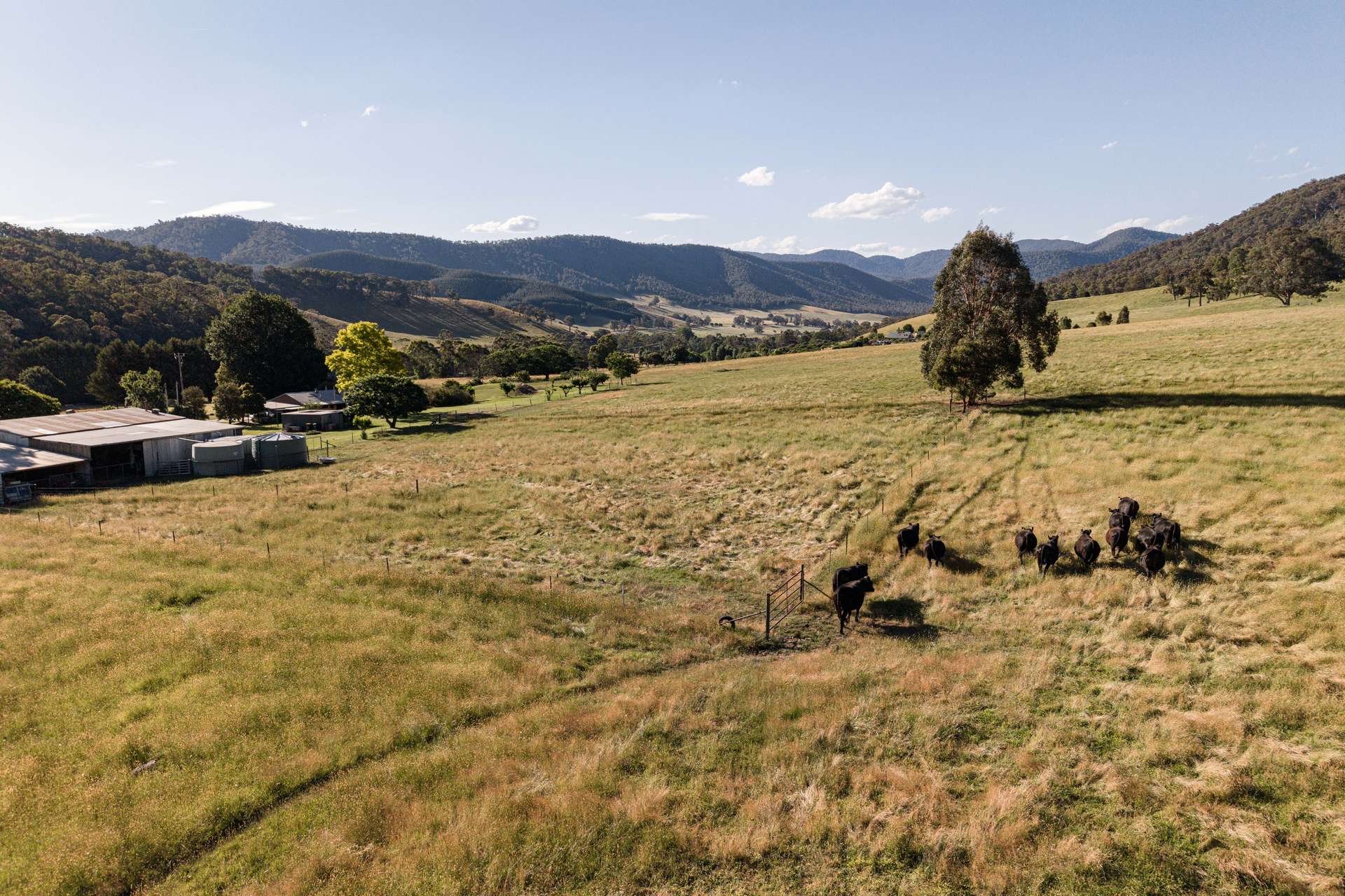 495 Kancoona South Road, Kancoona For Sale by Farmbuy.com - image 20