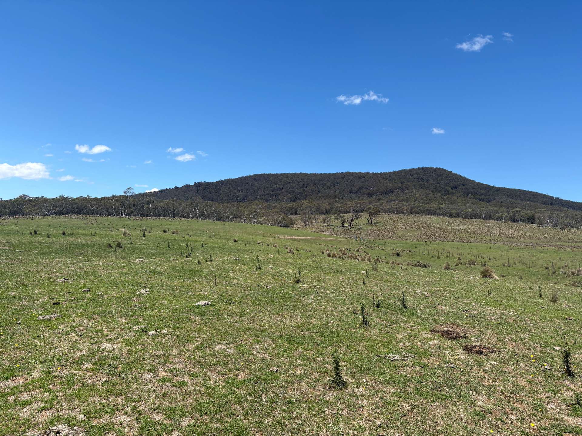 130 Jerrabatgulla Road Via Braidwood, Braidwood For Sale by Farmbuy.com - image 21
