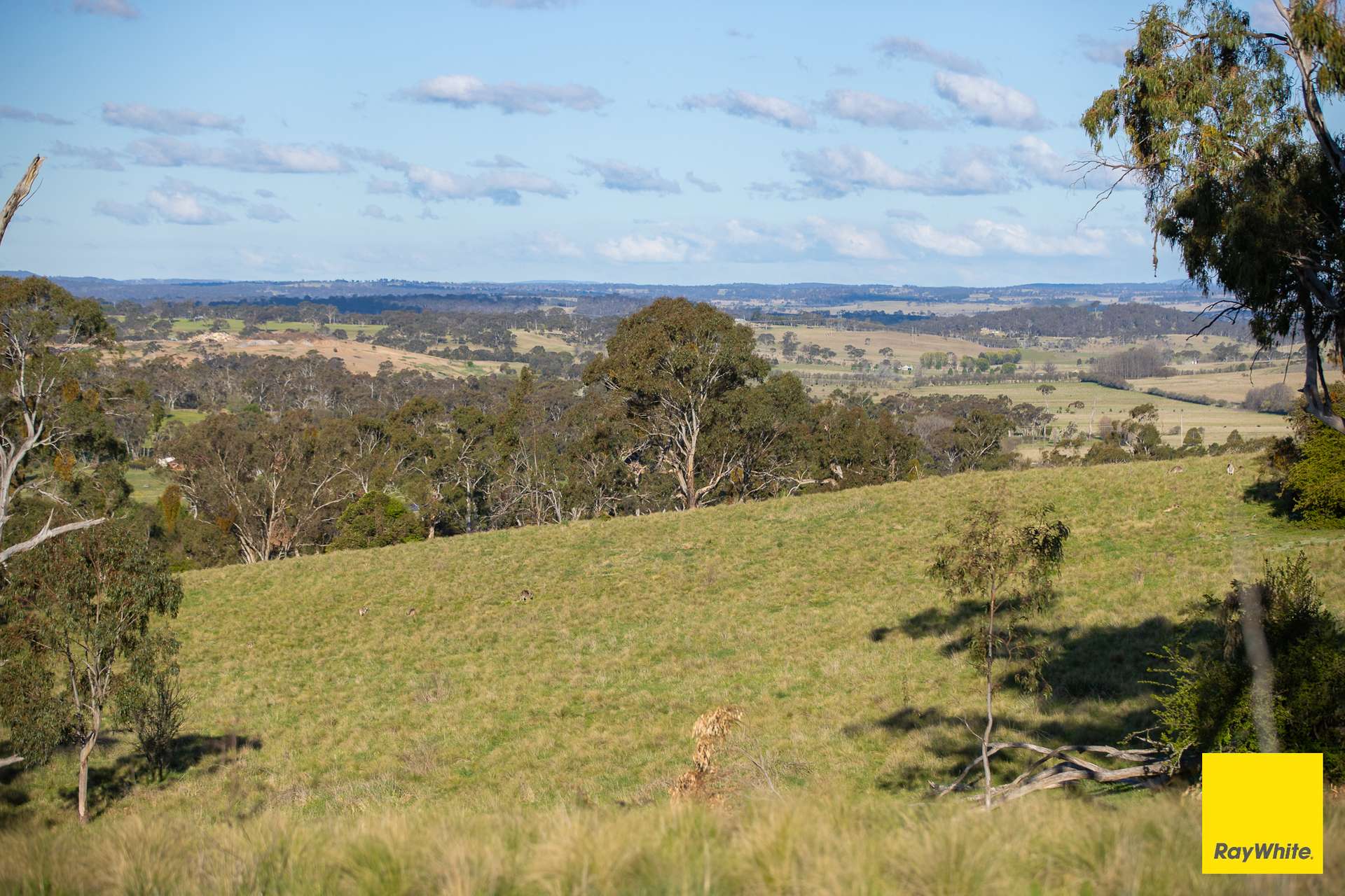 15 Karina Close, Armidale Auction by Farmbuy.com - image 11