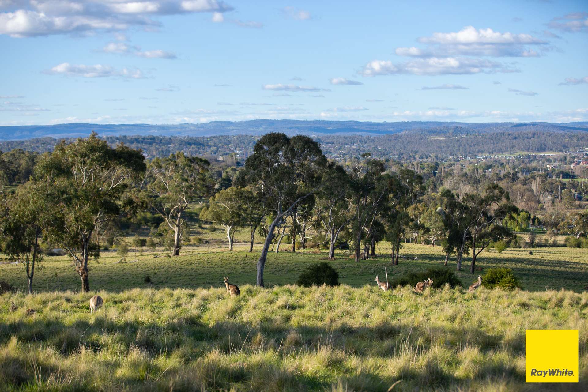 15 Karina Close, Armidale Auction by Farmbuy.com - image 5