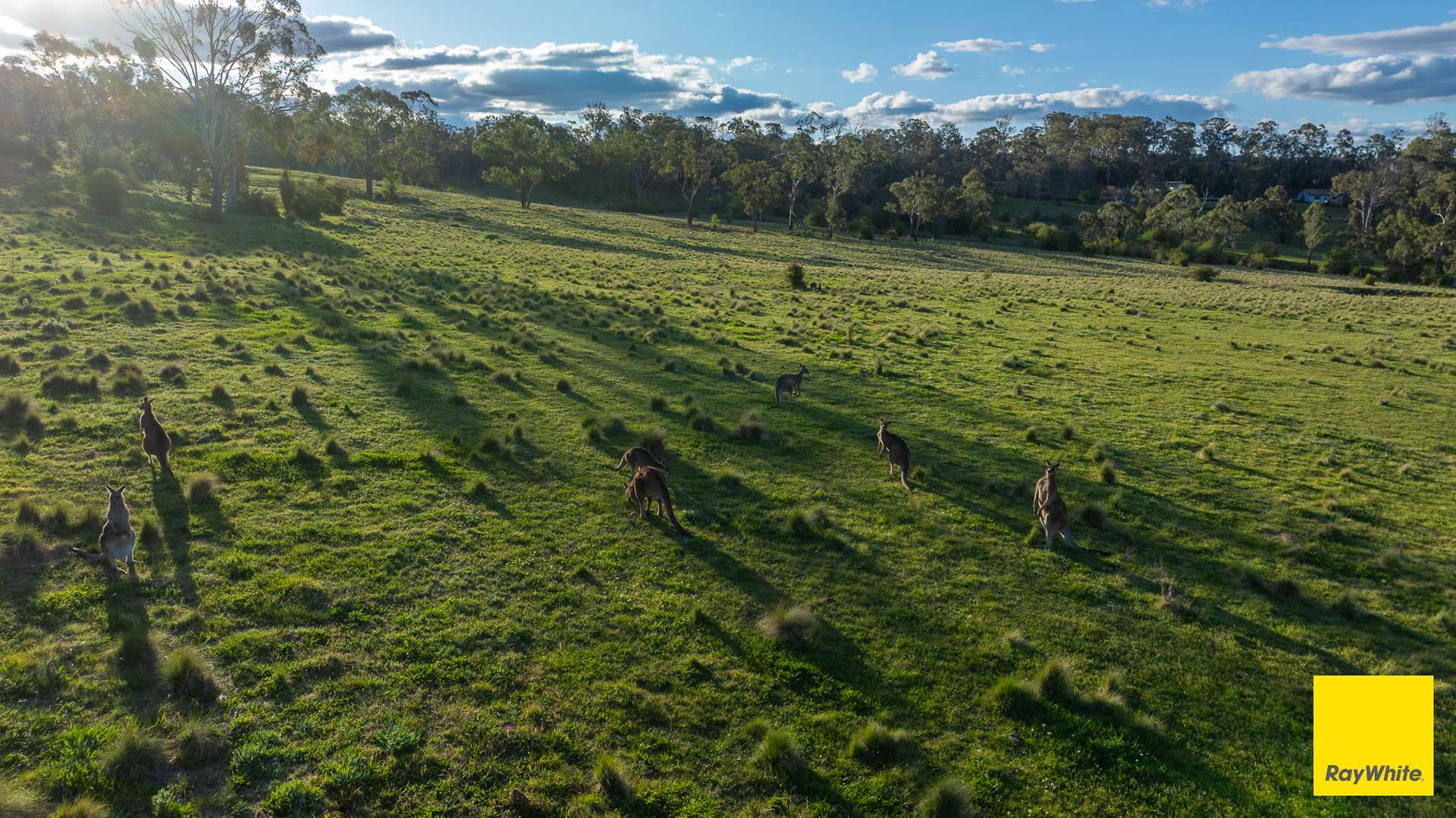15 Karina Close, Armidale Auction by Farmbuy.com - image 20