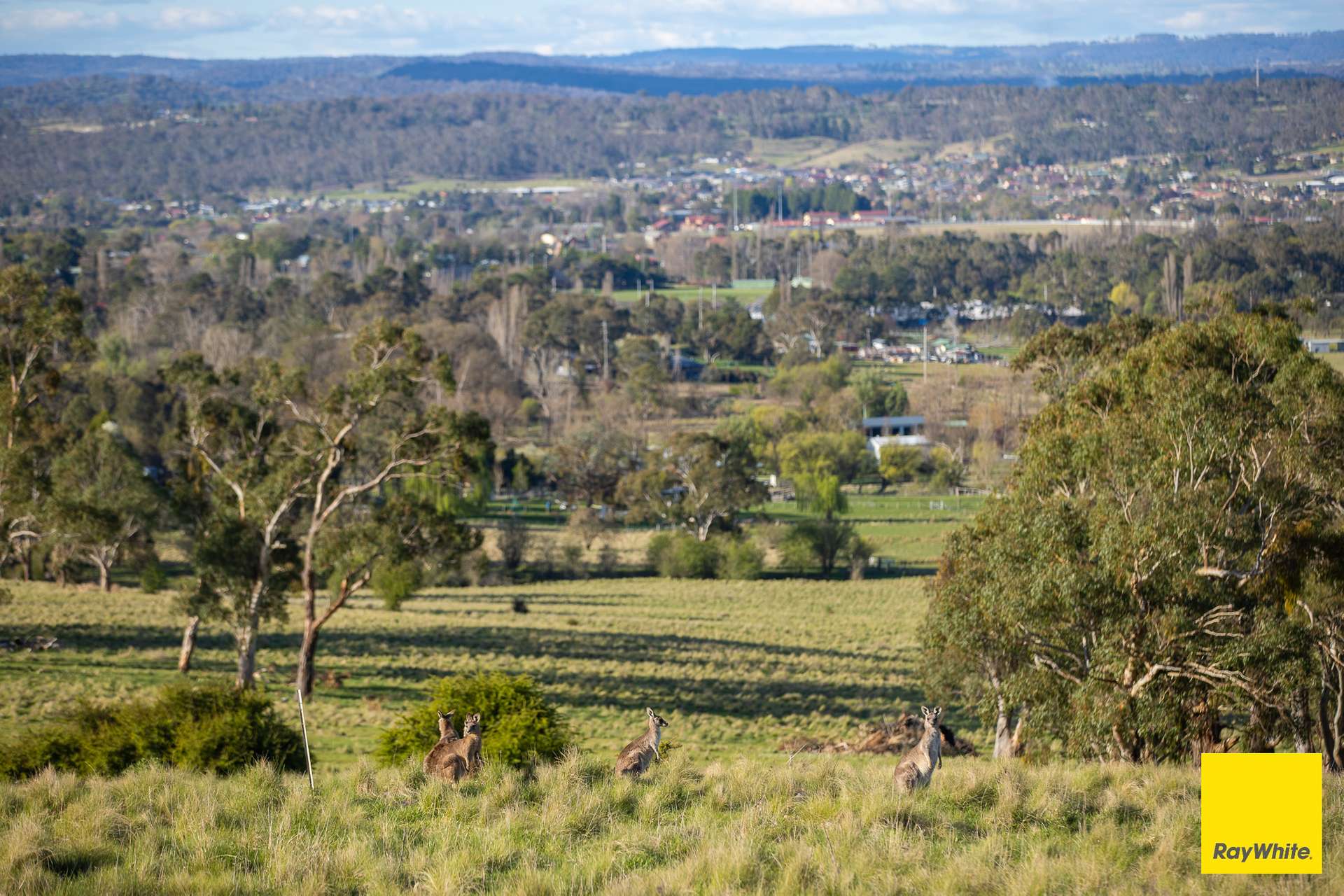 15 Karina Close, Armidale Auction by Farmbuy.com - image 13
