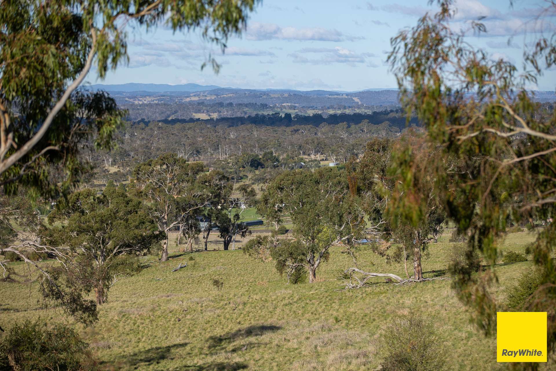 15 Karina Close, Armidale For Sale by Farmbuy.com - image 7
