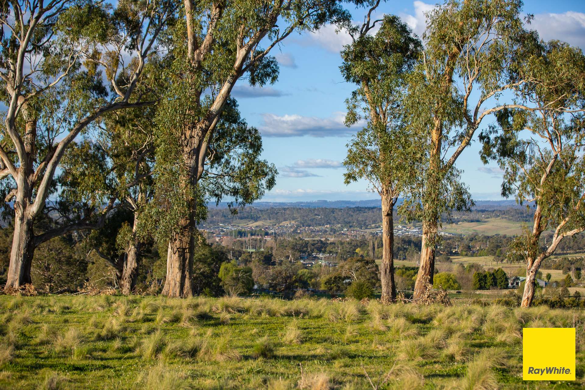 15 Karina Close, Armidale Auction by Farmbuy.com - image 1