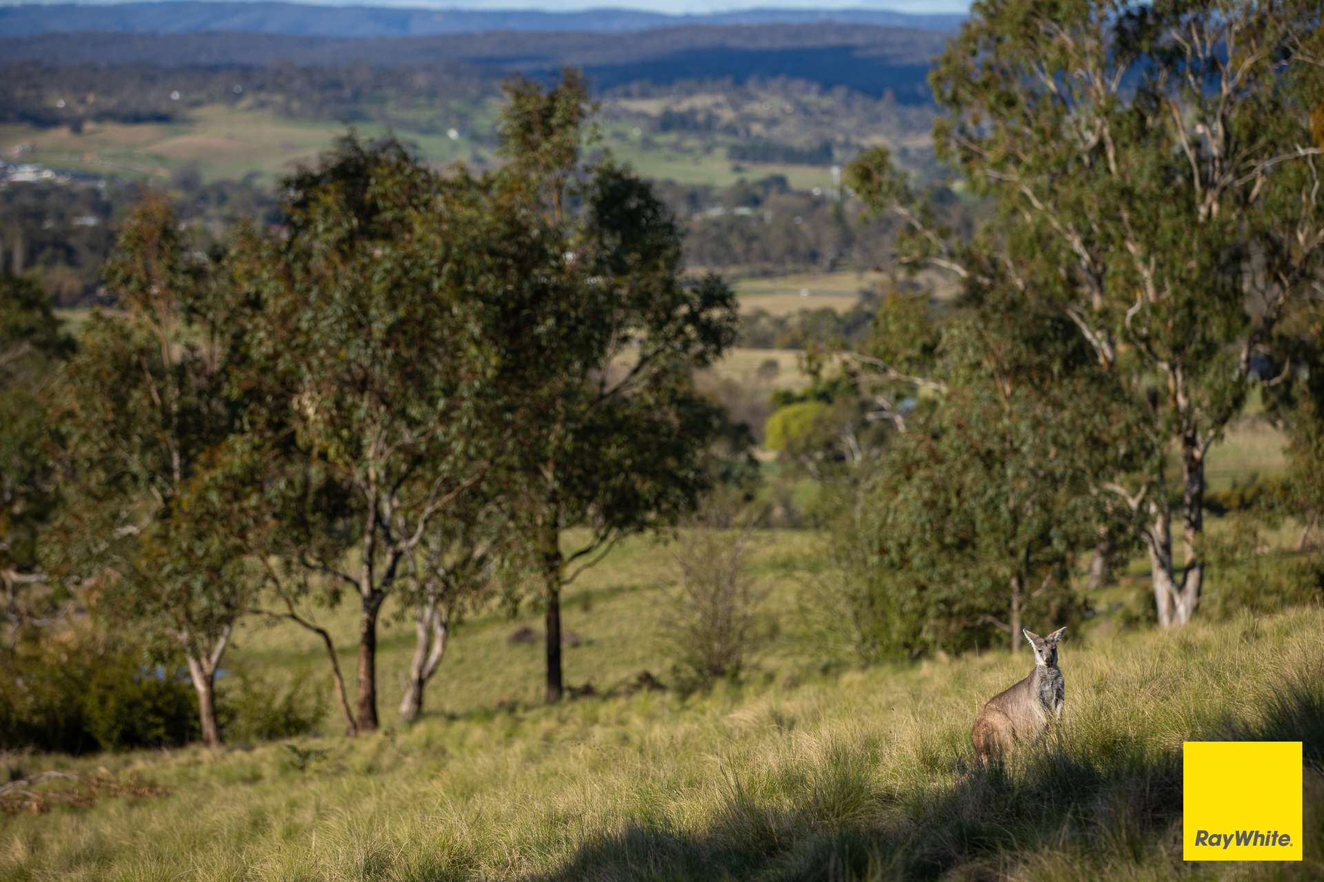 15 Karina Close, Armidale Auction by Farmbuy.com - image 10