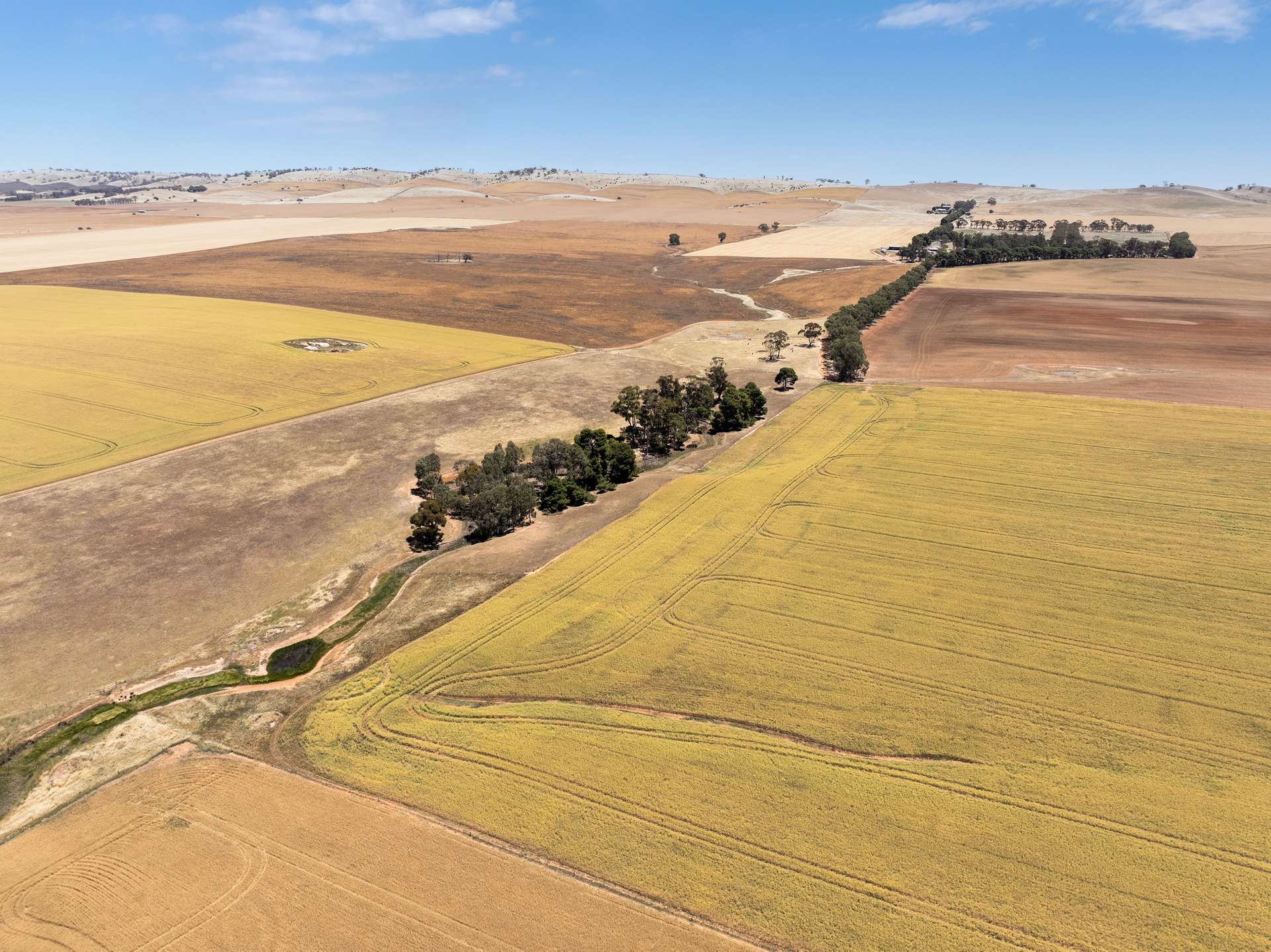 'Home Block' Euromina Road, Broughton River Valley Sold by Farmbuy.com - image 1