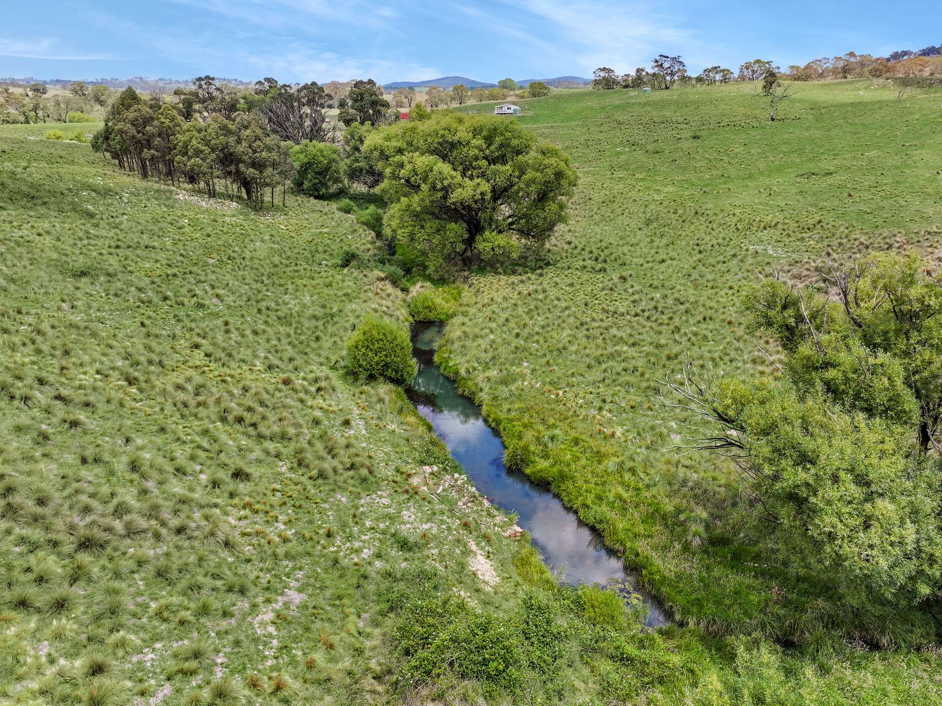 4540 Jerangle Road, Captains Flat For Sale by Farmbuy.com - image 15