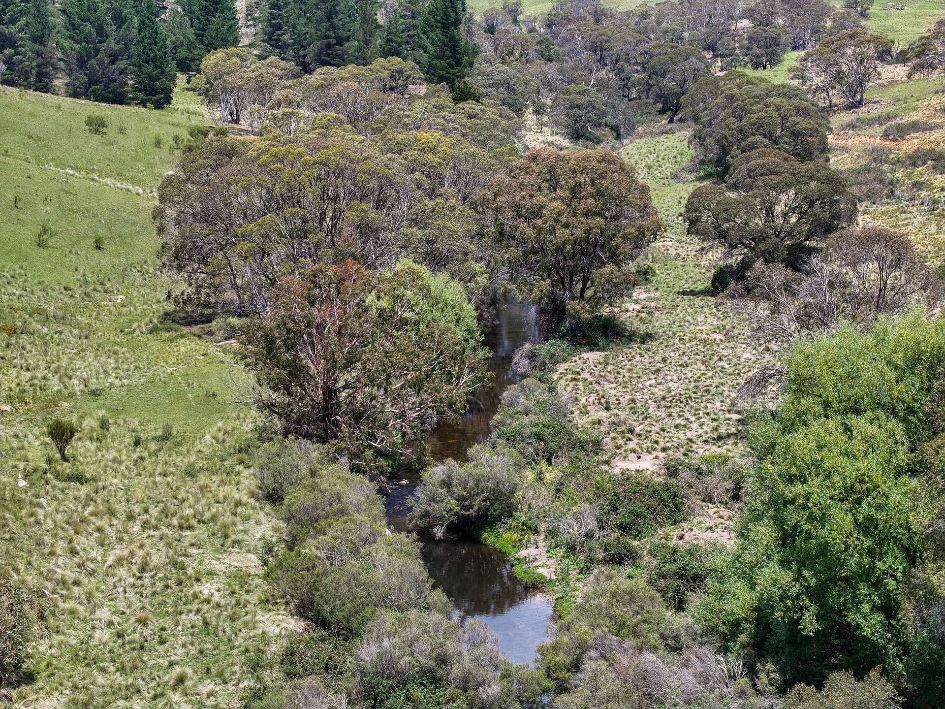 4540 Jerangle Road, Captains Flat For Sale by Farmbuy.com - image 22